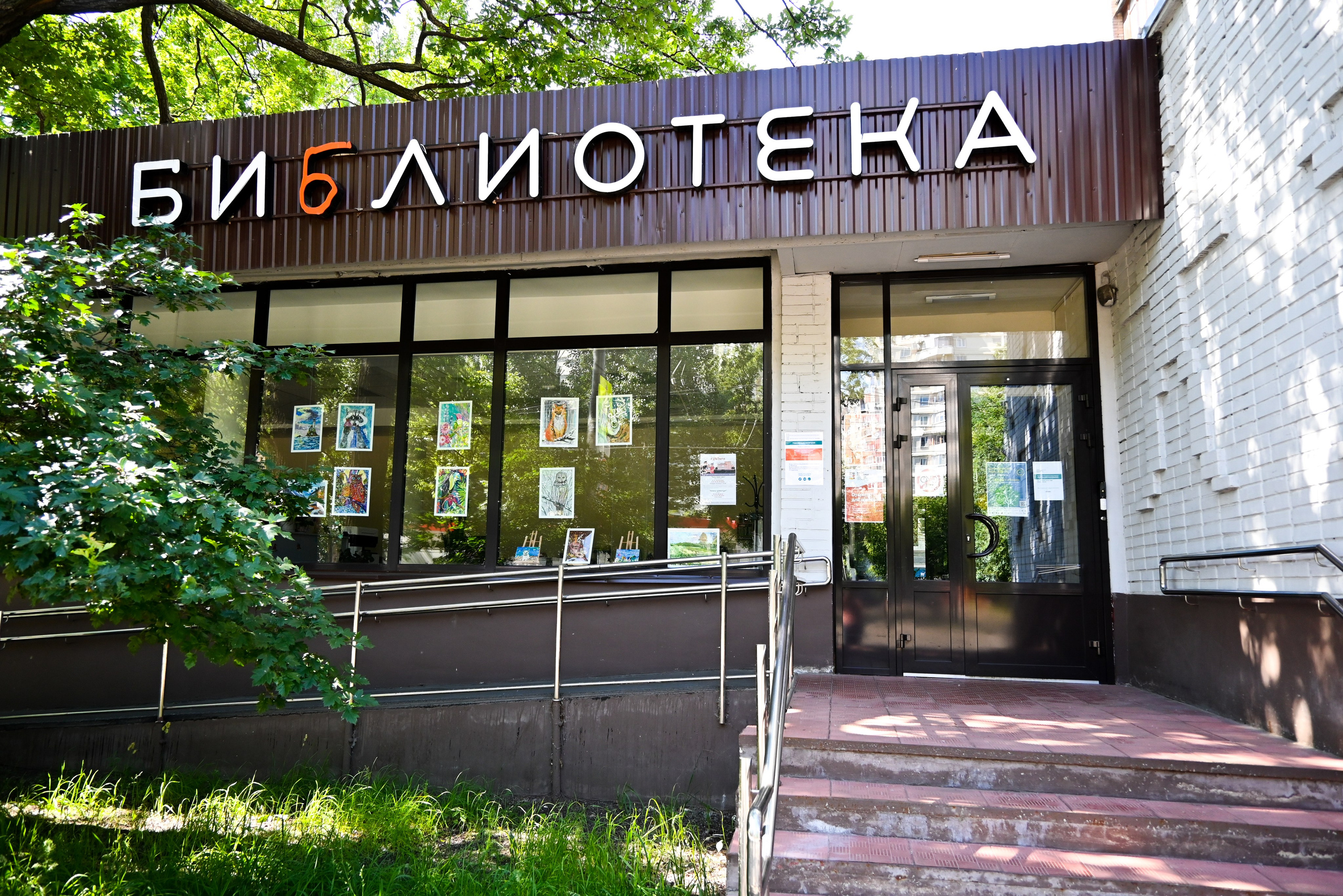 Библиотеки ЦБС САО. Фотограф и видеограф в Москве Анна Матюхина