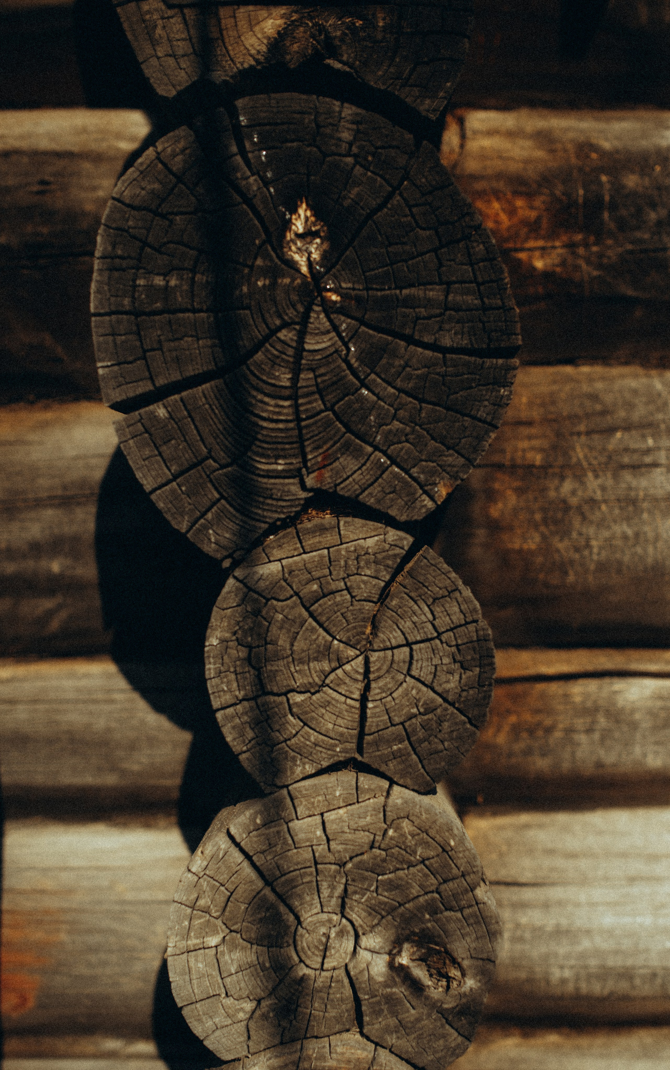 Свадьба на даче. Свадебный фотограф Анастасия Бударина