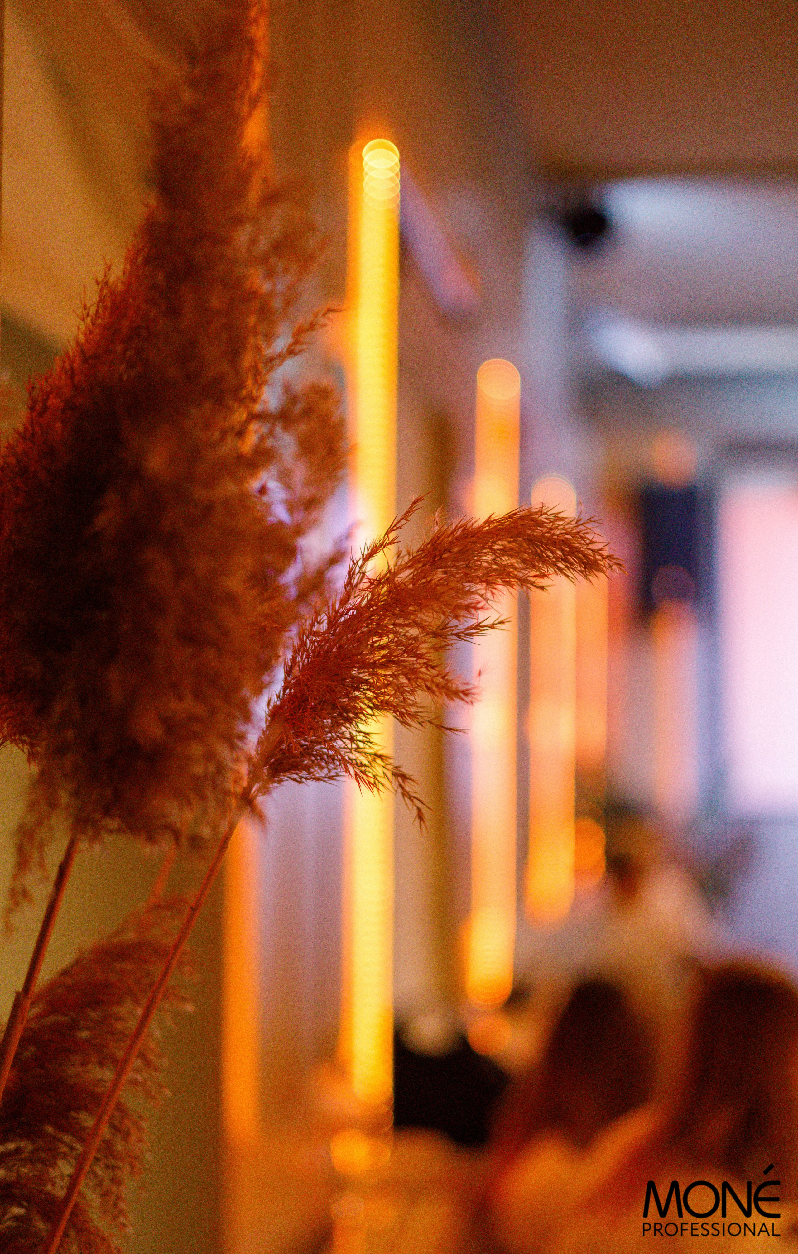 Мероприятия. Фотограф в Москве, портреты, мероприятия, бренды