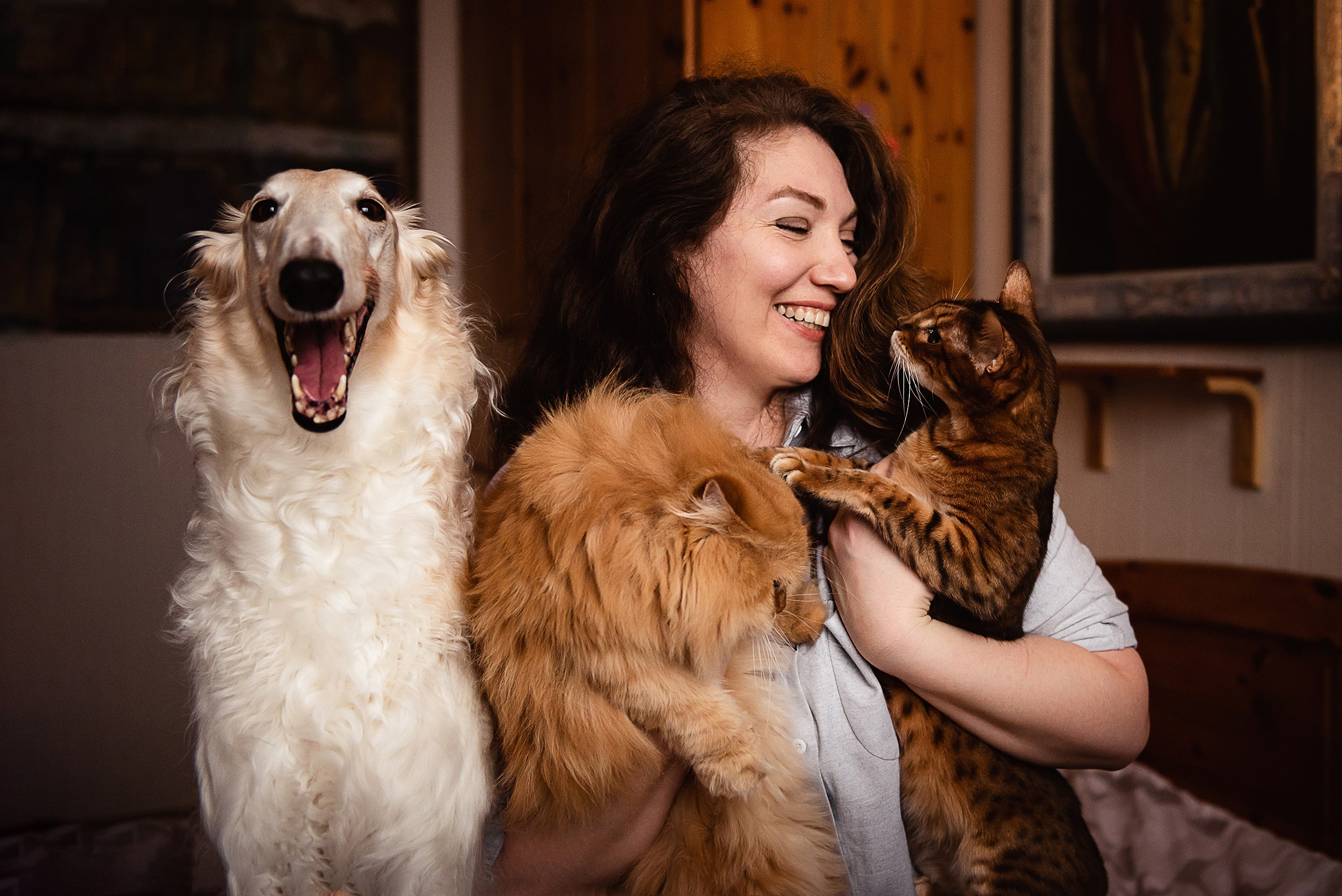 Квартира с картинами. Алиса, Андрей и их пушистая семья. Семейный Фотограф в Москве Ирина Хохлова