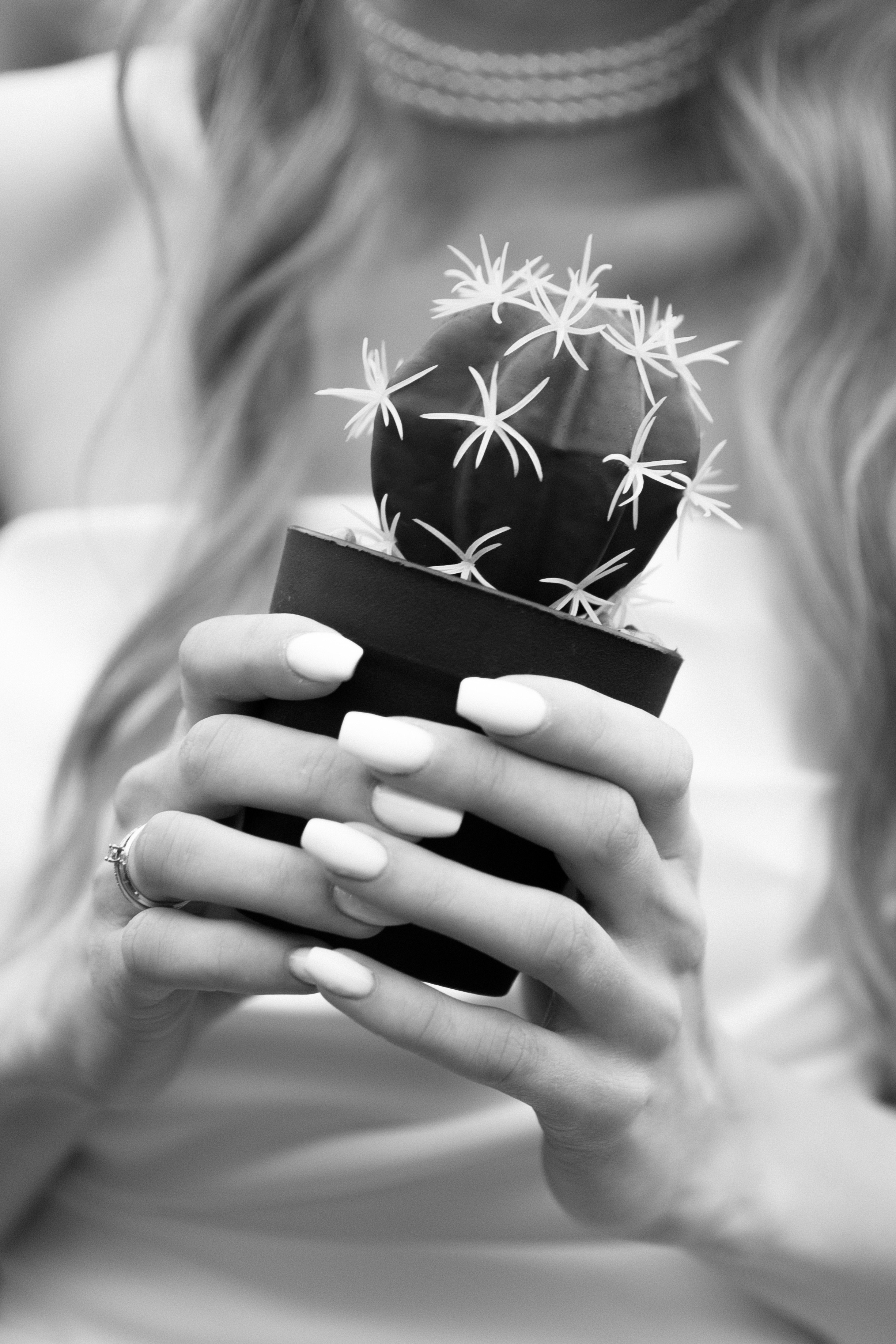 Wedding. Главная