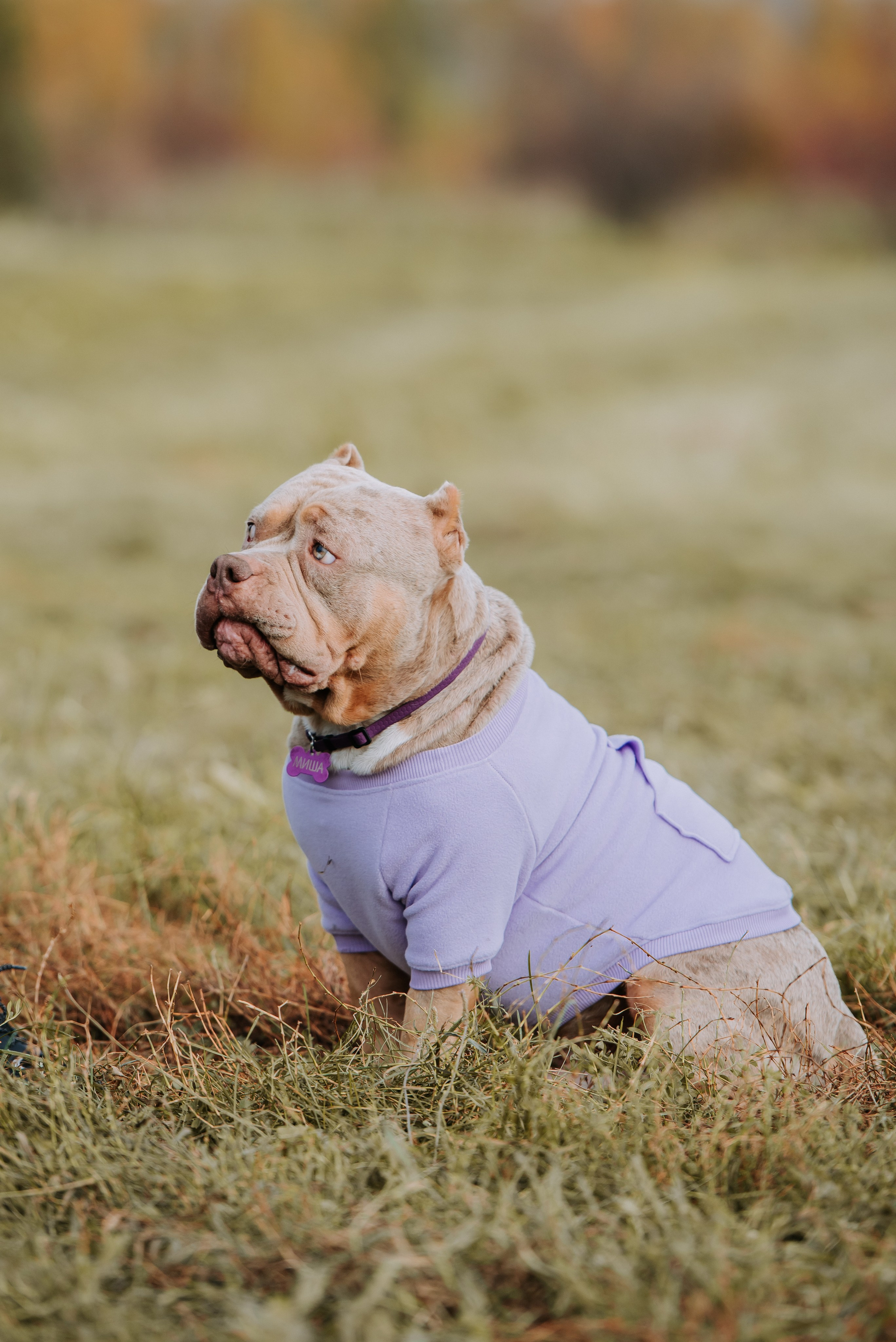 Фотопрогулка с питомцами. Фотограф Диана Оленина Красноярск / Братск