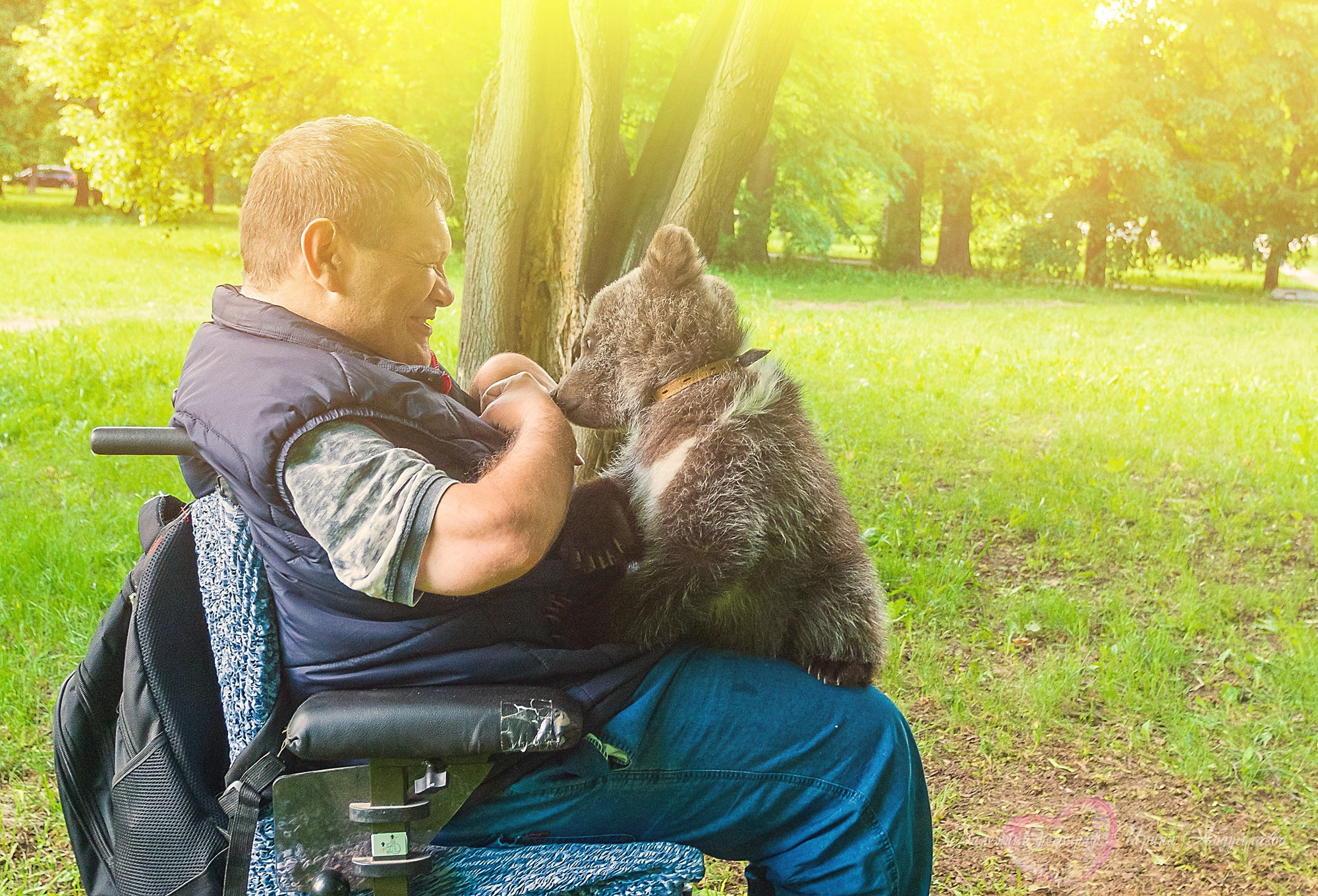 Артист цирка Олег Александров (прогулка -интервью): «Секрет дрессировки — любовь к животным и профессии»