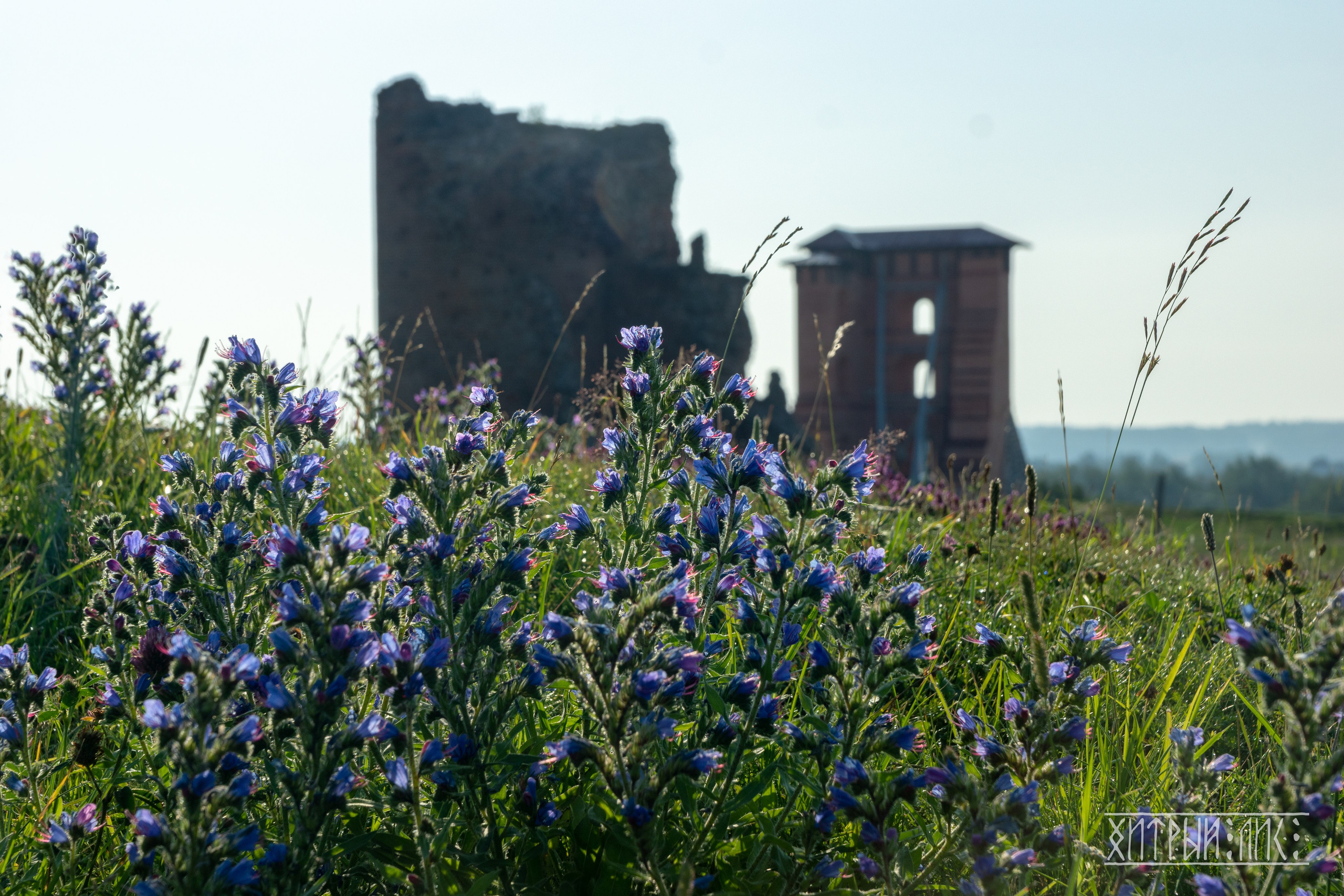 Беларусь. Фотограф-путешественник Самойлов Максим «Sly Fox»