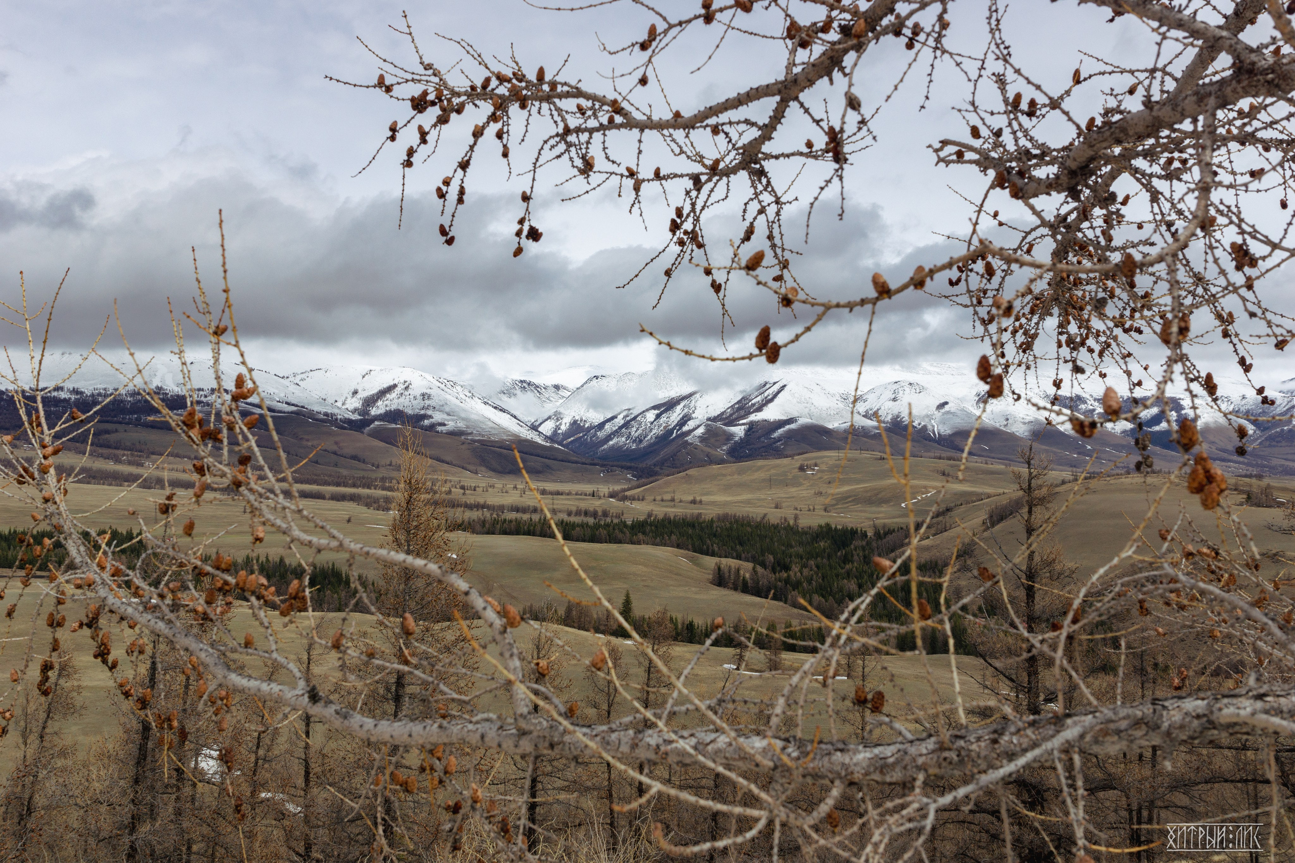 Алтай. Фотограф-путешественник Самойлов Максим «Sly Fox»