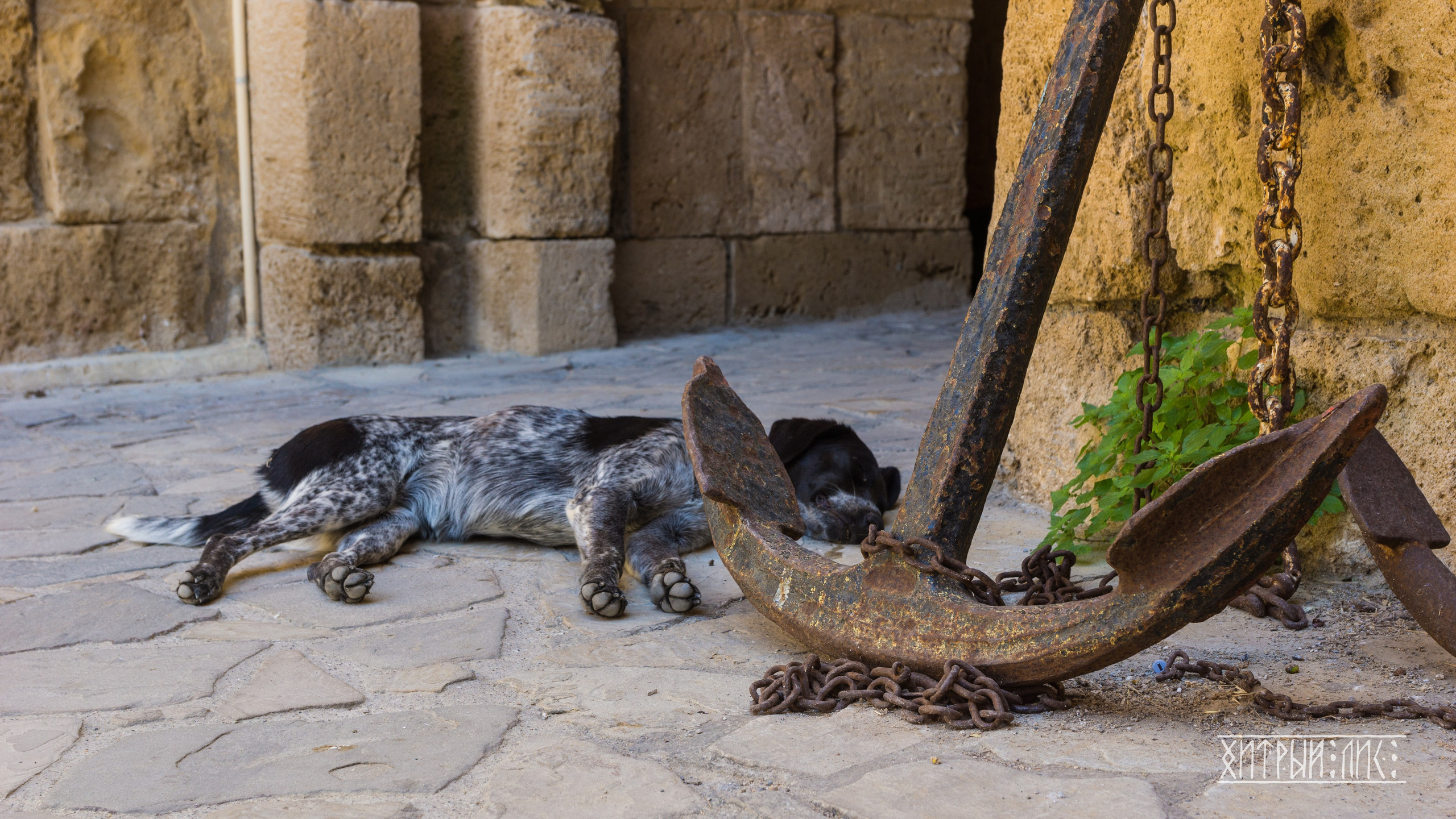 Кипр. Фотограф-путешественник Самойлов Максим «Sly Fox»