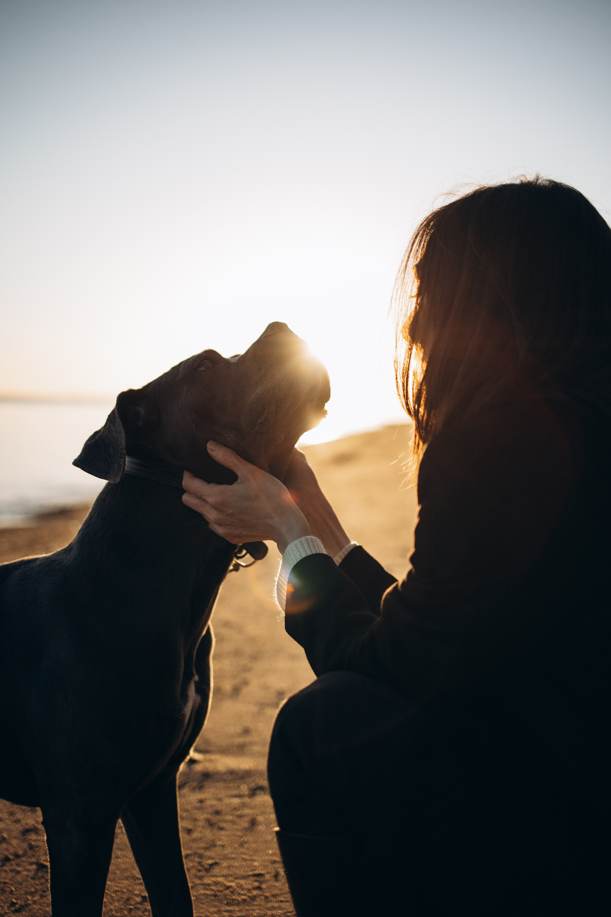 Анна и Лана. Фотограф — Анималист | Санкт-Петербург