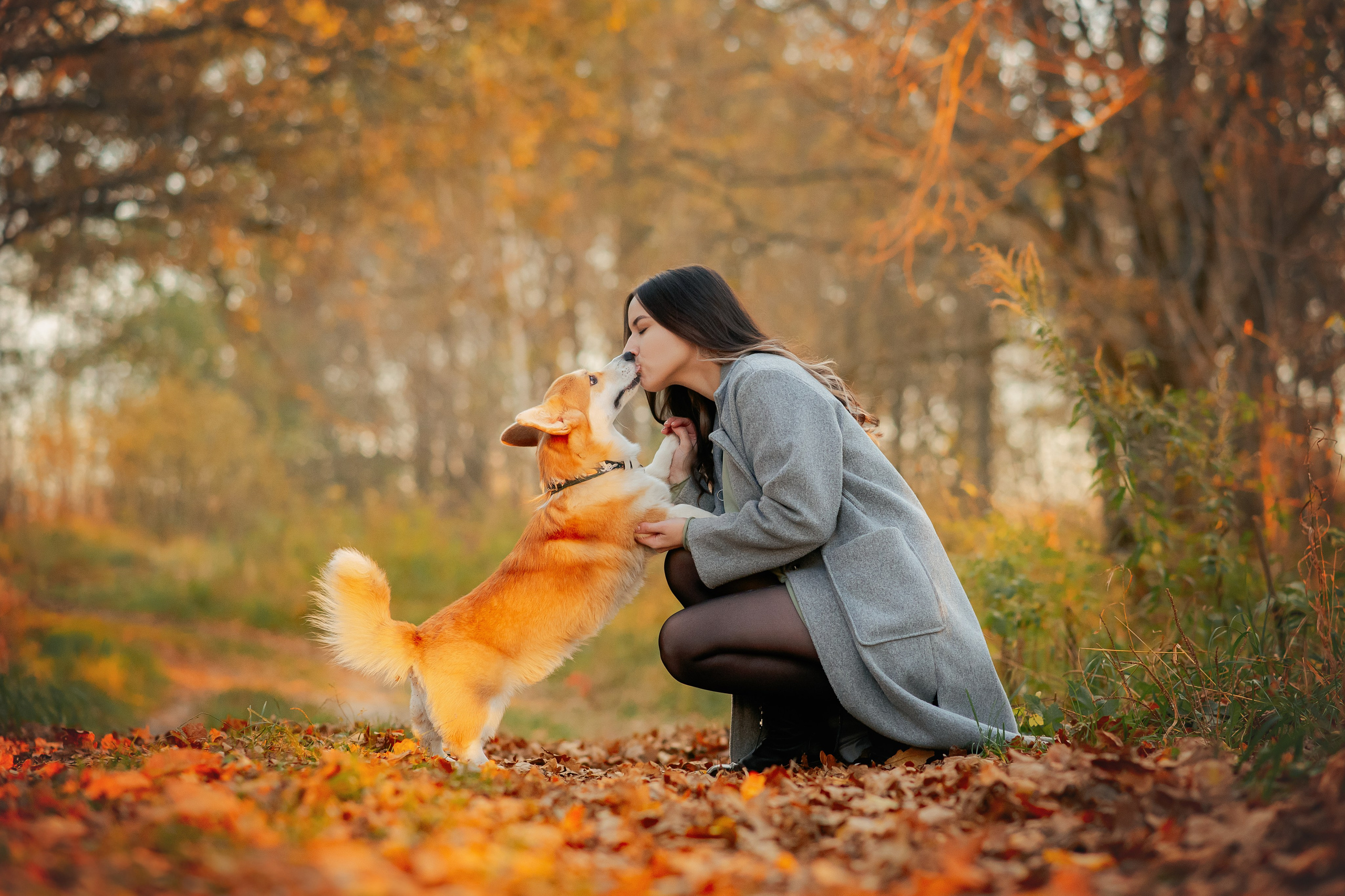 Максим, Надя, Рой и Шелби — 13.10.2024. Фотограф — Анималист | Анна Абрамова