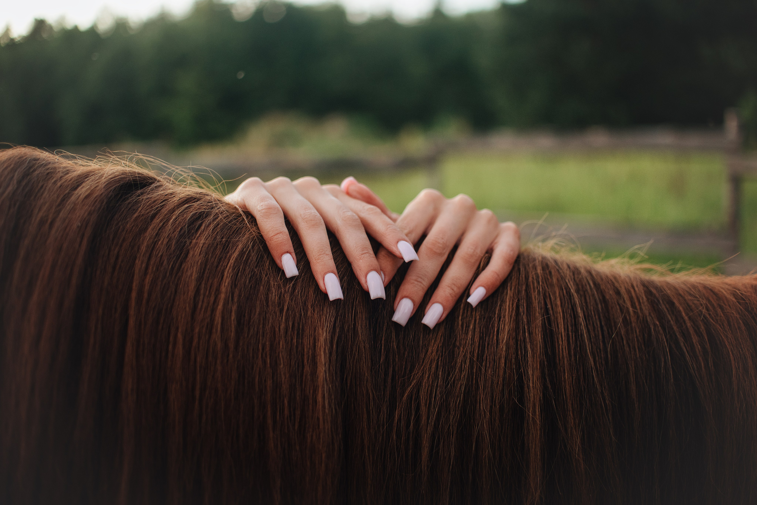 Ксюша и Майя — 05.07.2025. Фотограф — Анималист | Анна Абрамова