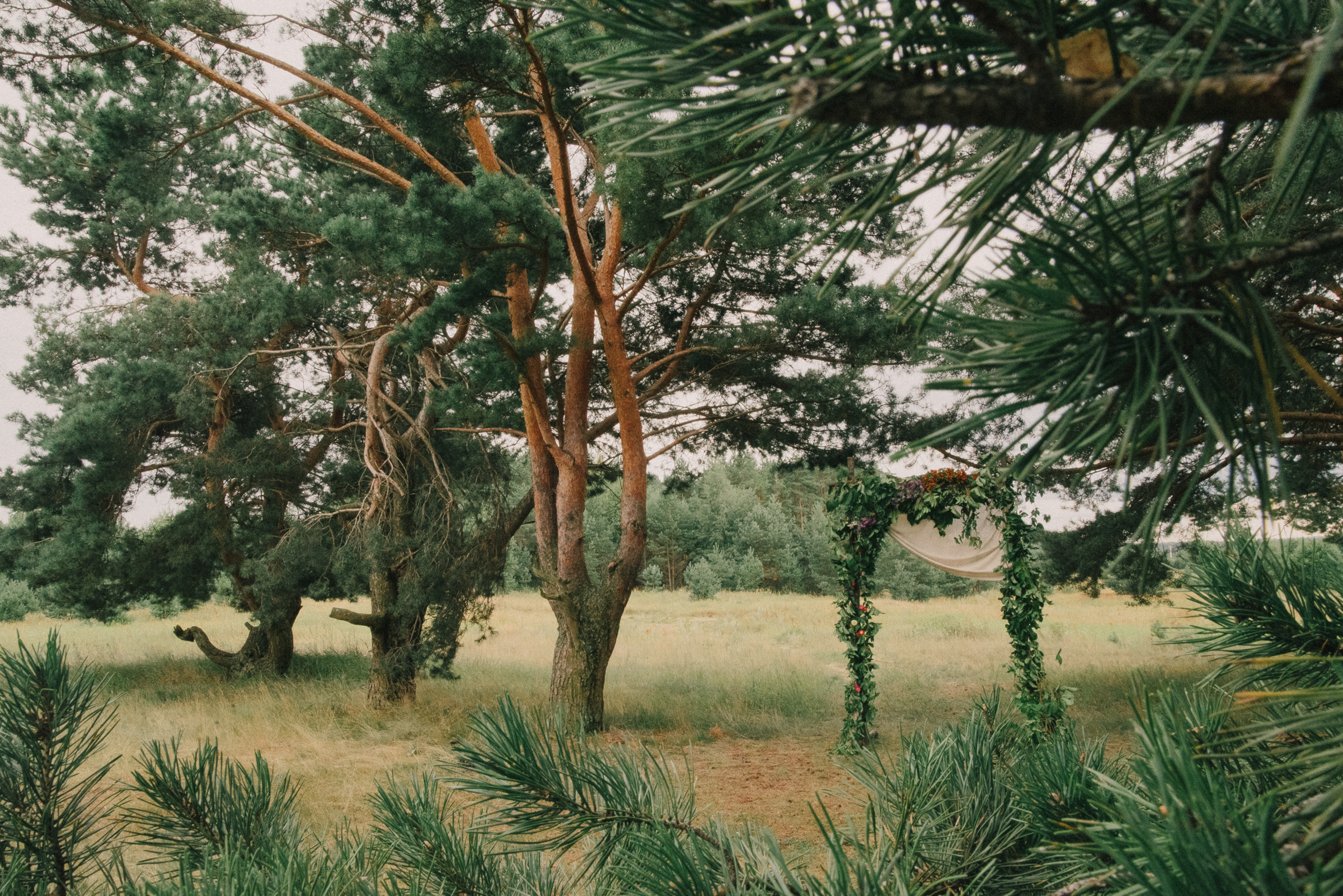 Дима и Полина | D&P. Свадебный фотограф Роман Чигарев