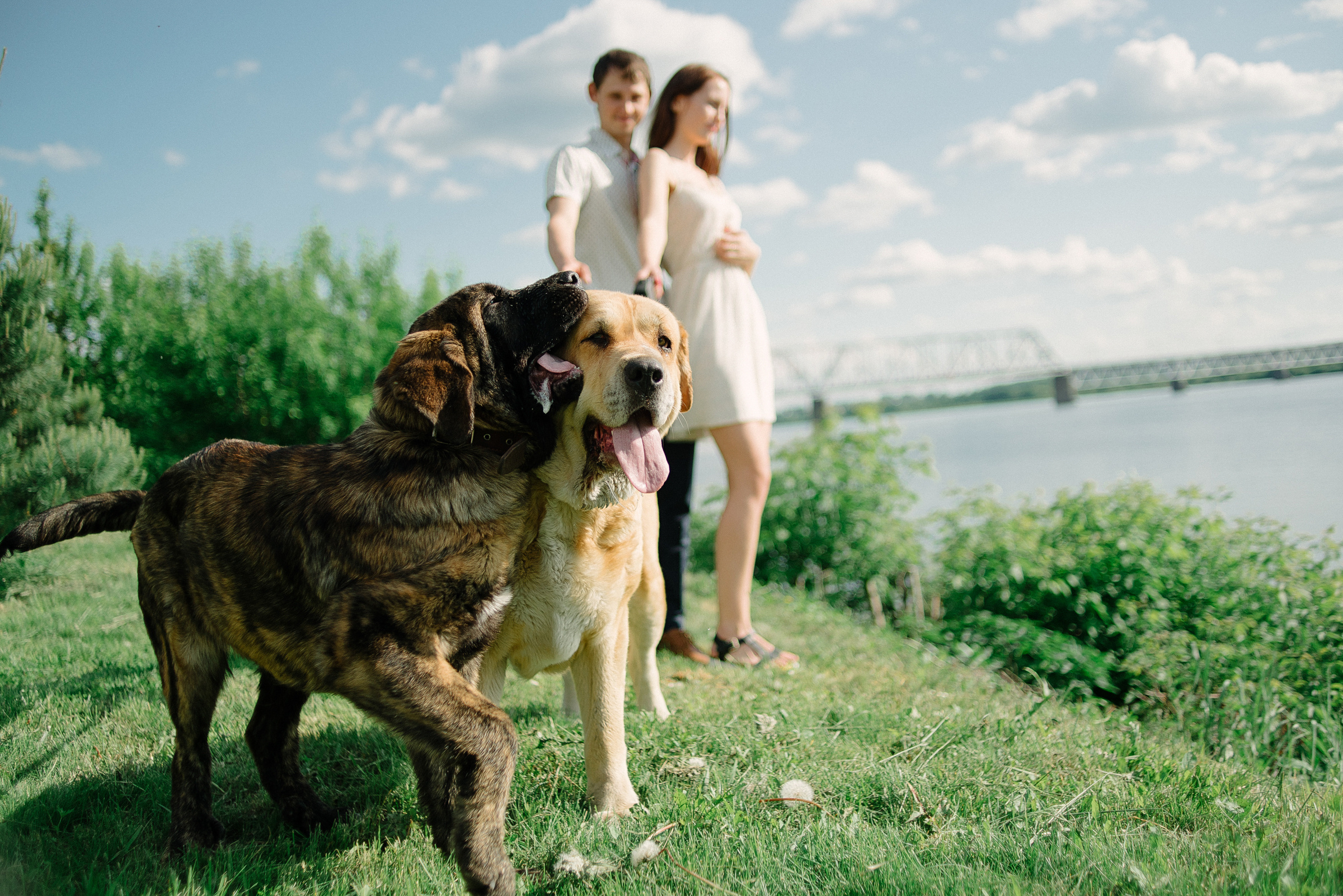 Ваня и Ксюша | LOVESTORY. Свадебный фотограф Роман Чигарев