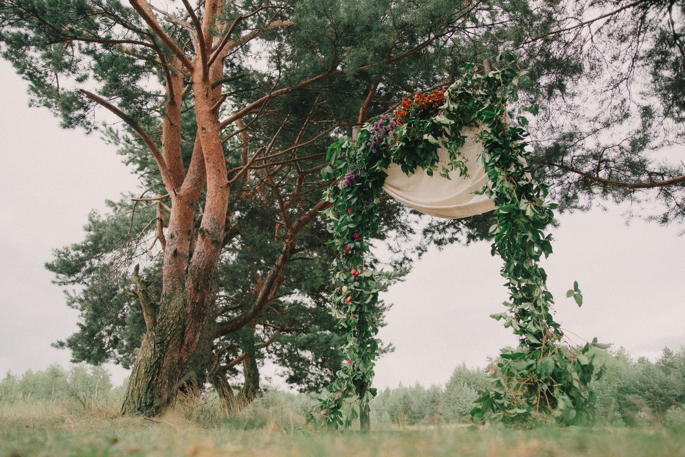 Дима и Полина | D&P. Свадебный фотограф Роман Чигарев