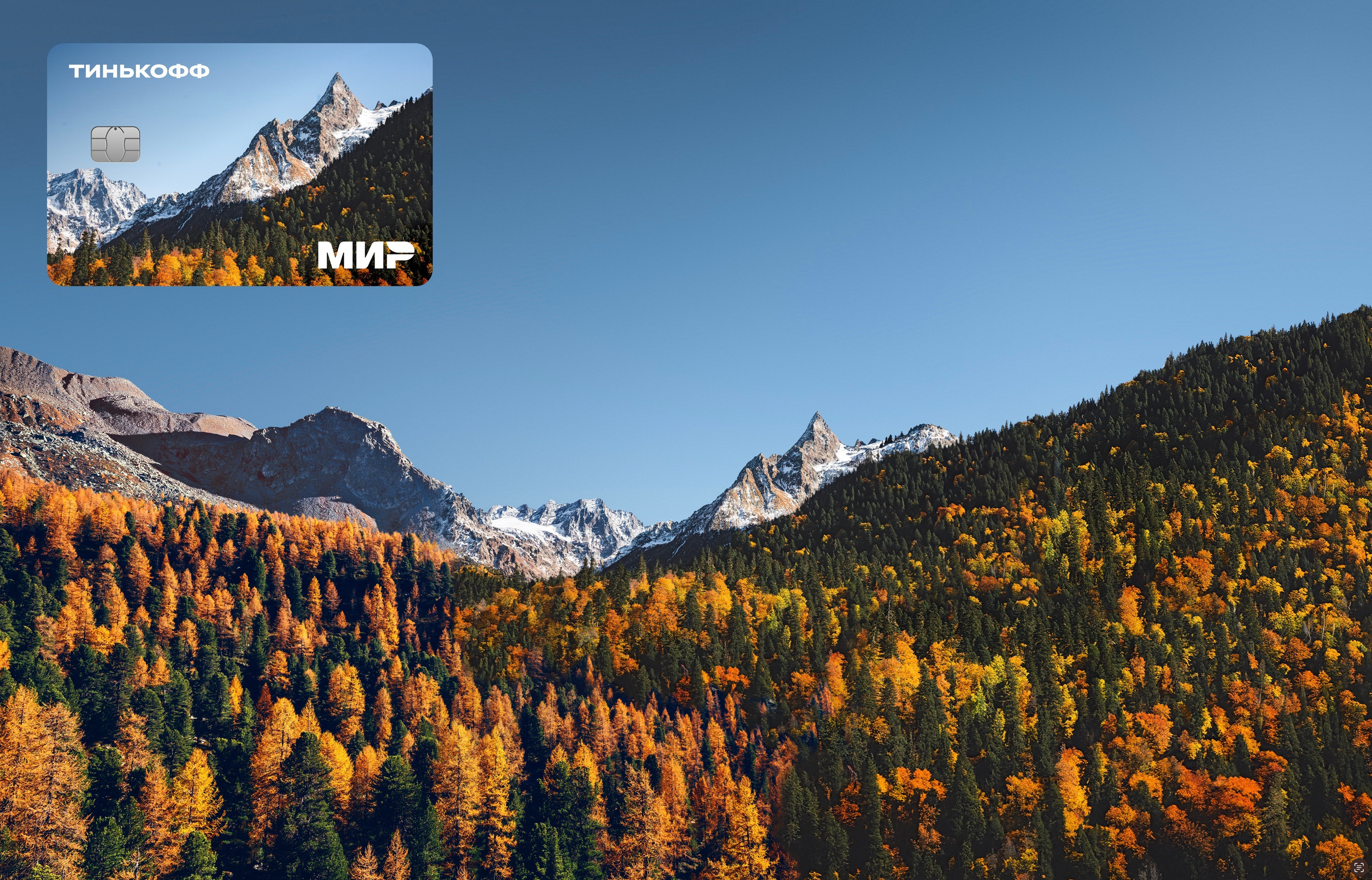 MATTE PAINT. ArtistSOS