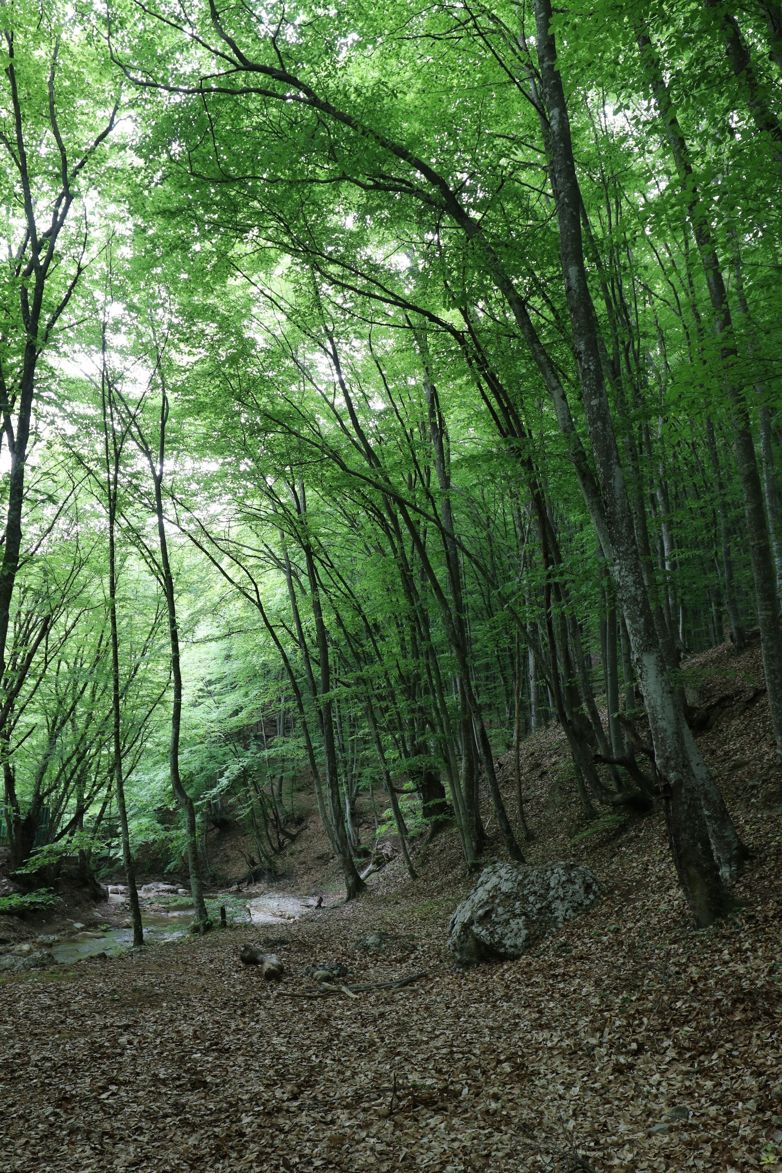 Крым. ЮБК (Бахчисарай, Демерджи, Судак). Первый скалолазный выезд. Май 2019. Путешественник-фотограф из Санкт-Петербурга Татьяна Свистулина