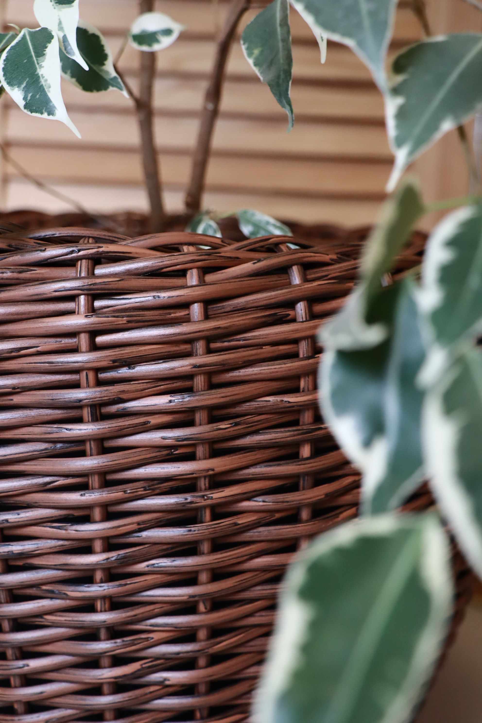 ПРЕДМЕТНАЯ съемка для рекламы. VSolo — ваш EVENT фотограф