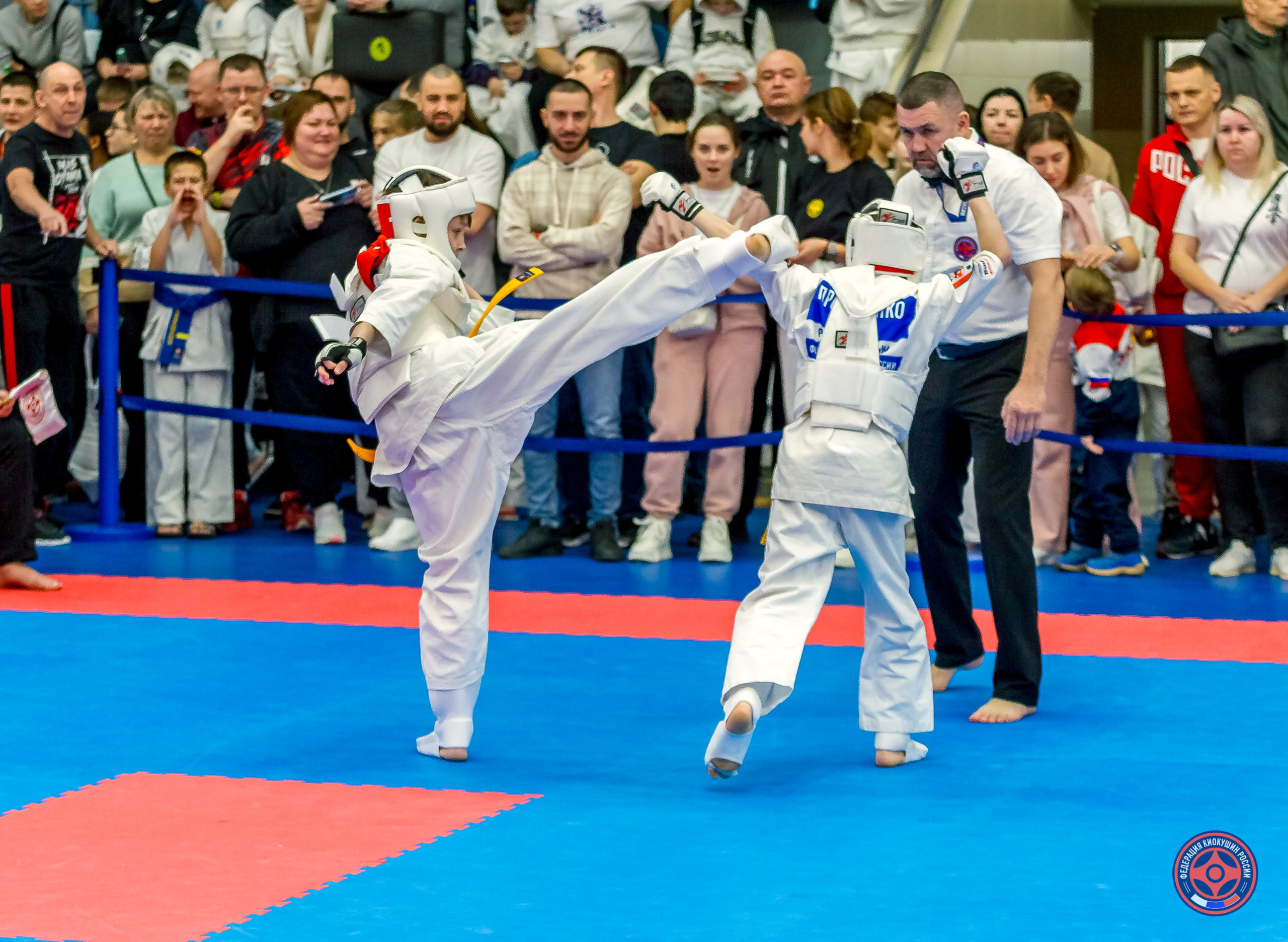 Международный турнир по киокушин «Открытый кубок Seiken». Репортажная съемка в Москве и области. Анималистика