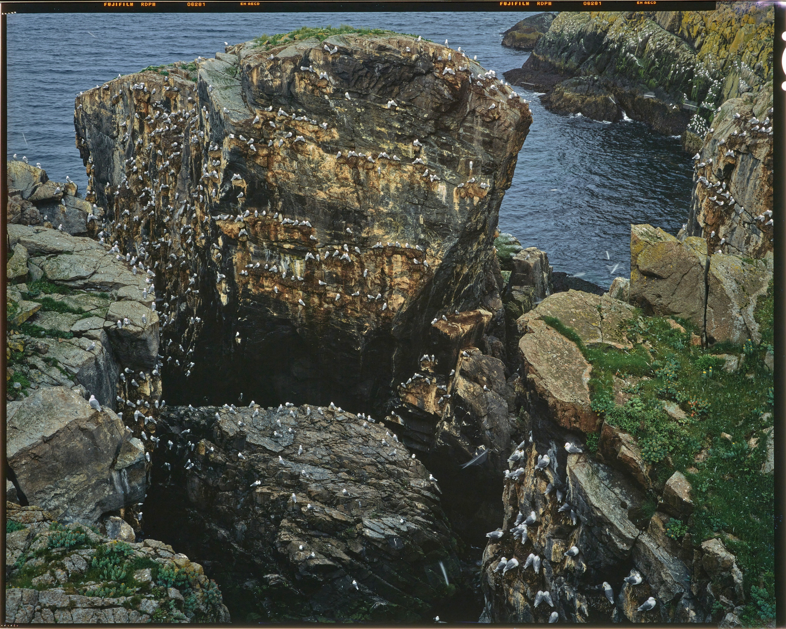 Полевая фотосъёмка форматными камерами. Multica. Мастерская камер большого формата