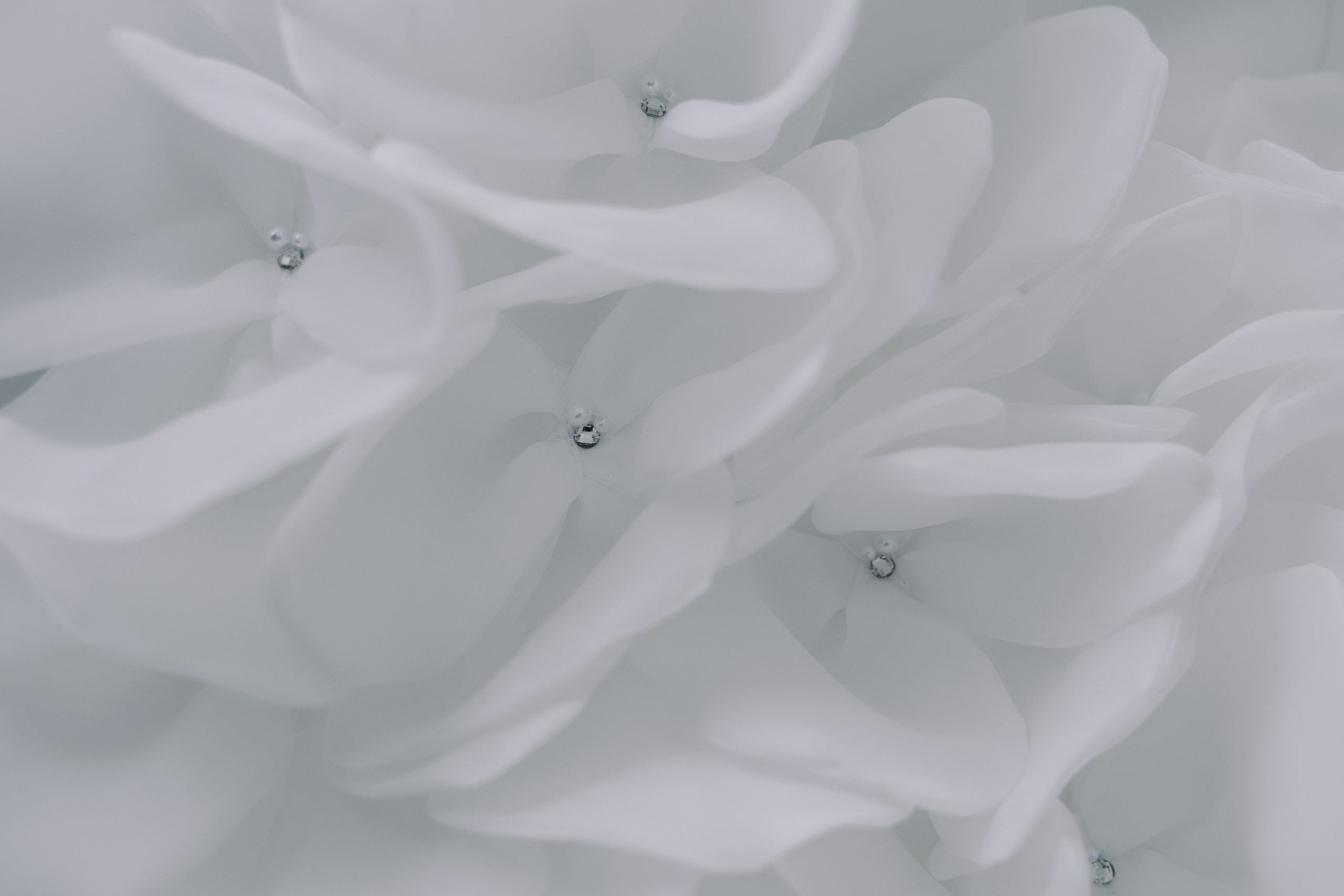 Свадебная выставка. Главная