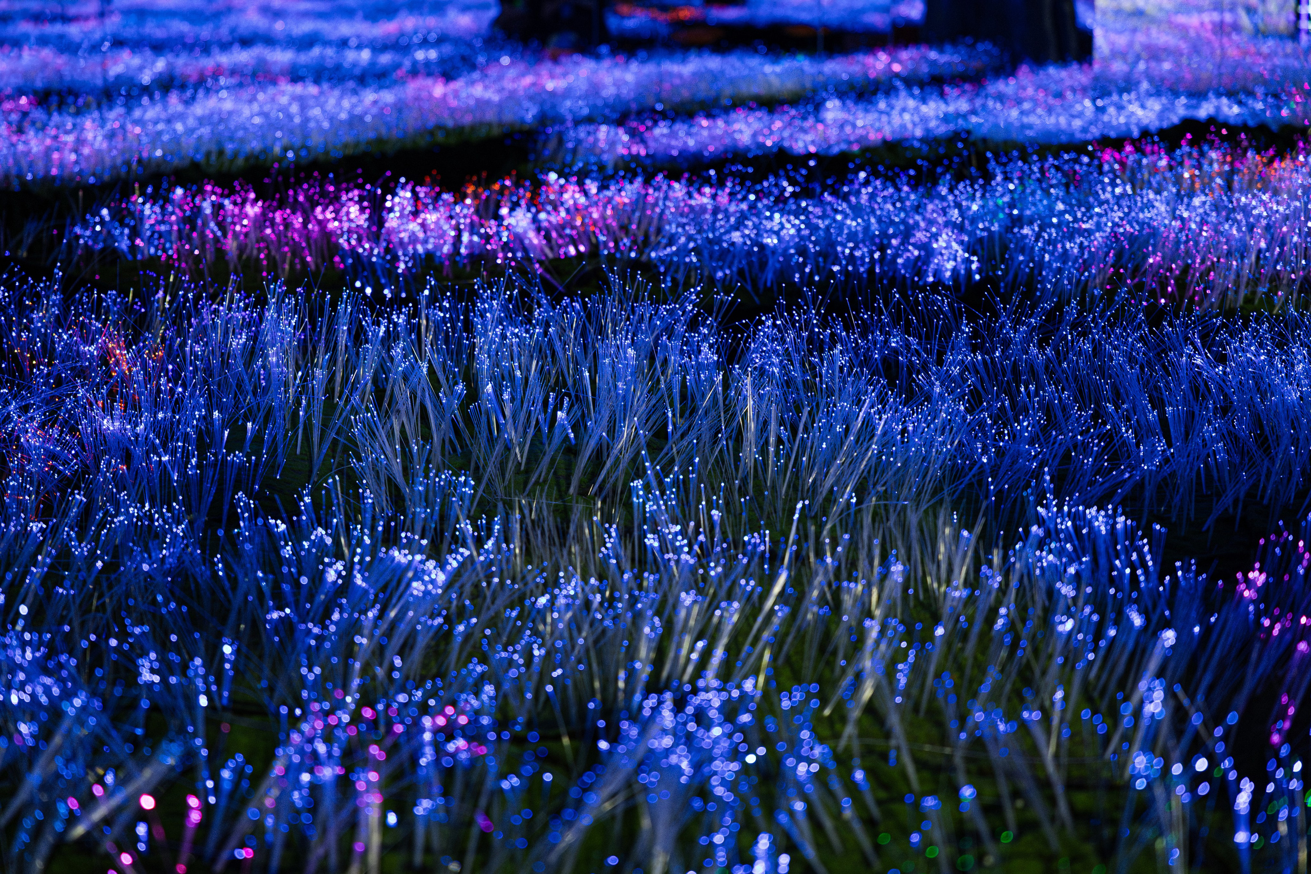 Basis (1). Свадебный репортажный фотограф в Москве