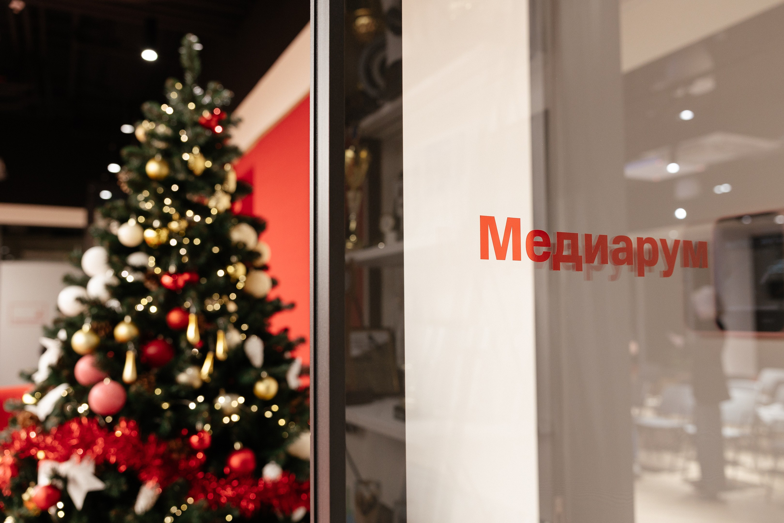 МТС hall: Agile practice day. Портретный и репортажный фотограф в Москве Олеся Лисарк