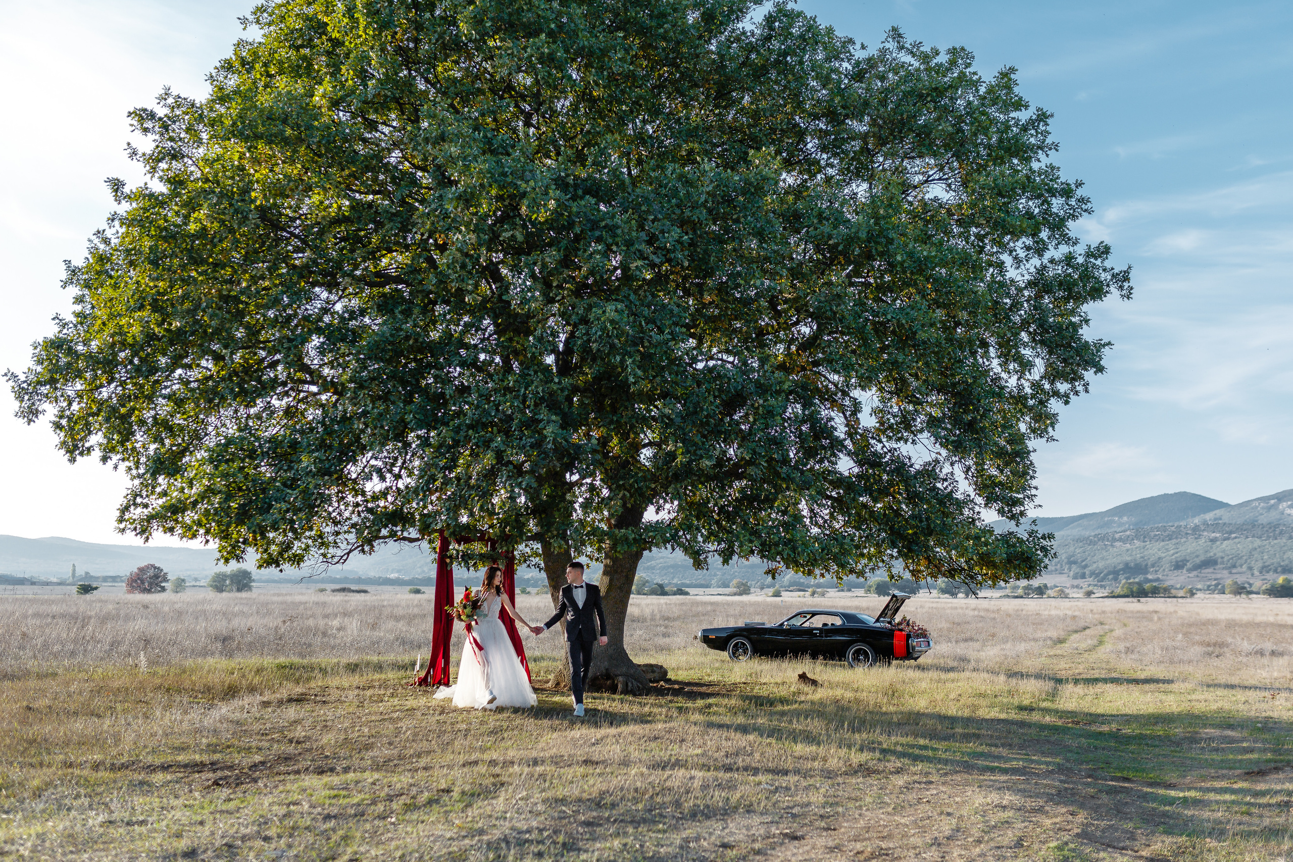 Эмоциональная свадебная фотография. Свадебный фотограф в Крыму и Севастополе Ольга Баскакова