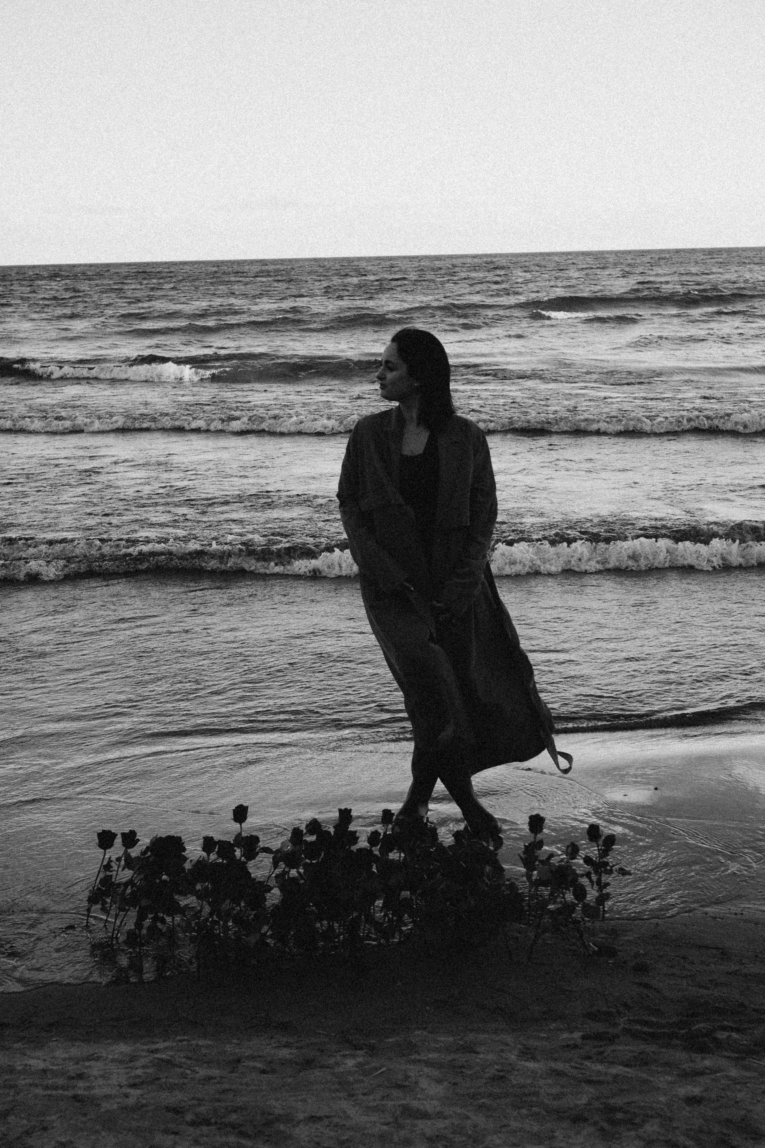 Розы. Профессиональный фотограф, Санкт-Петербург — Виктория Богомолова