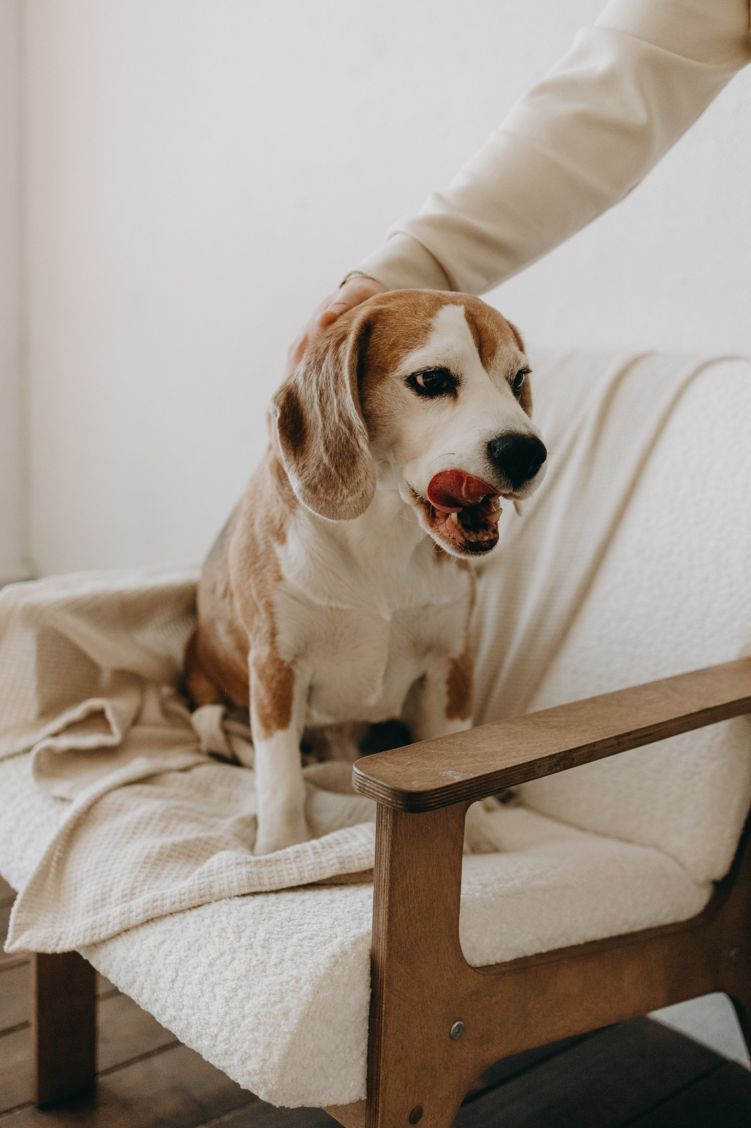 Даня и его семья. Фотограф — Анималист | Санкт-Петербург