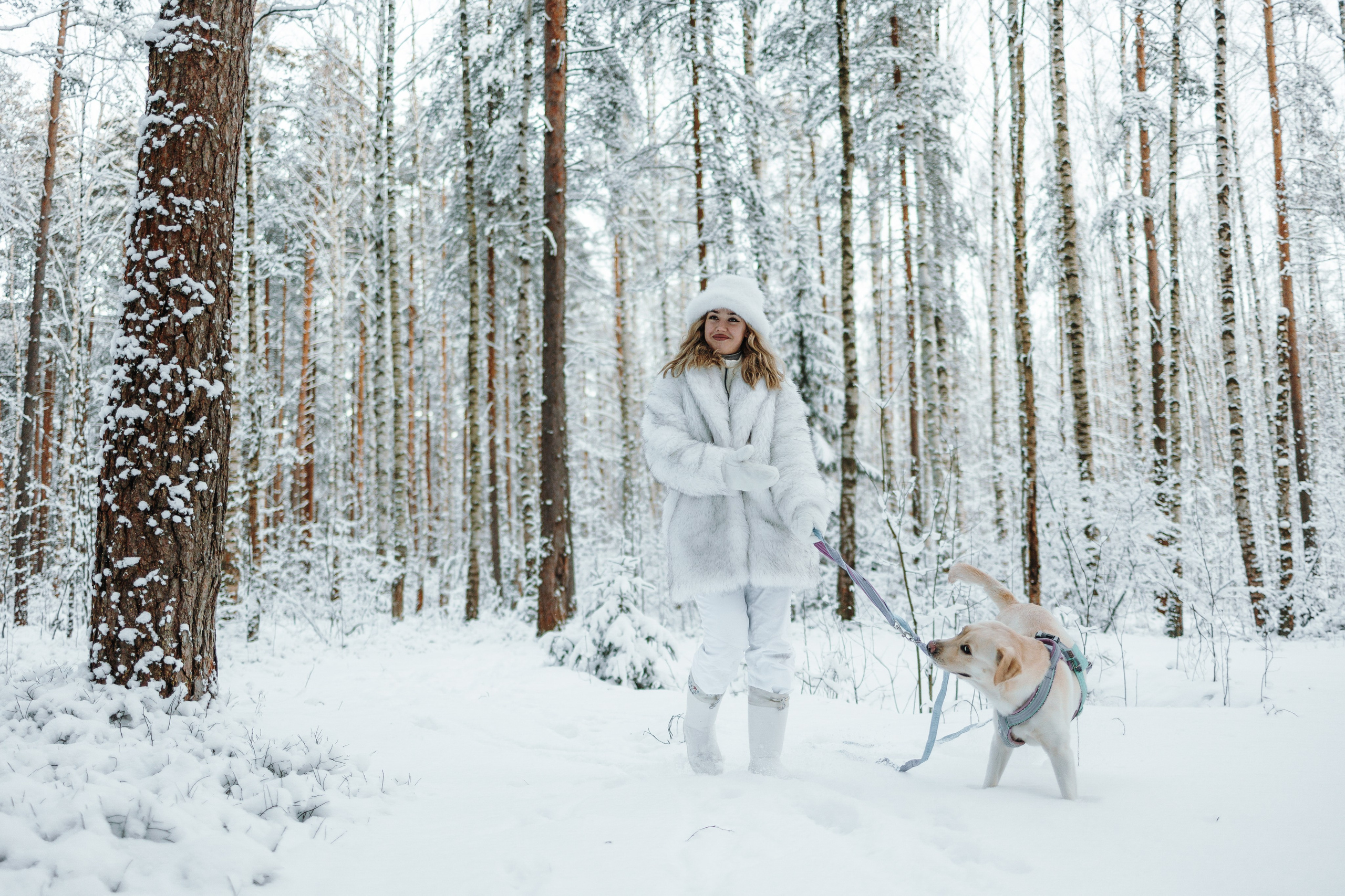 Ребята и их хвостатая семейка. Фотограф — Анималист | Санкт-Петербург