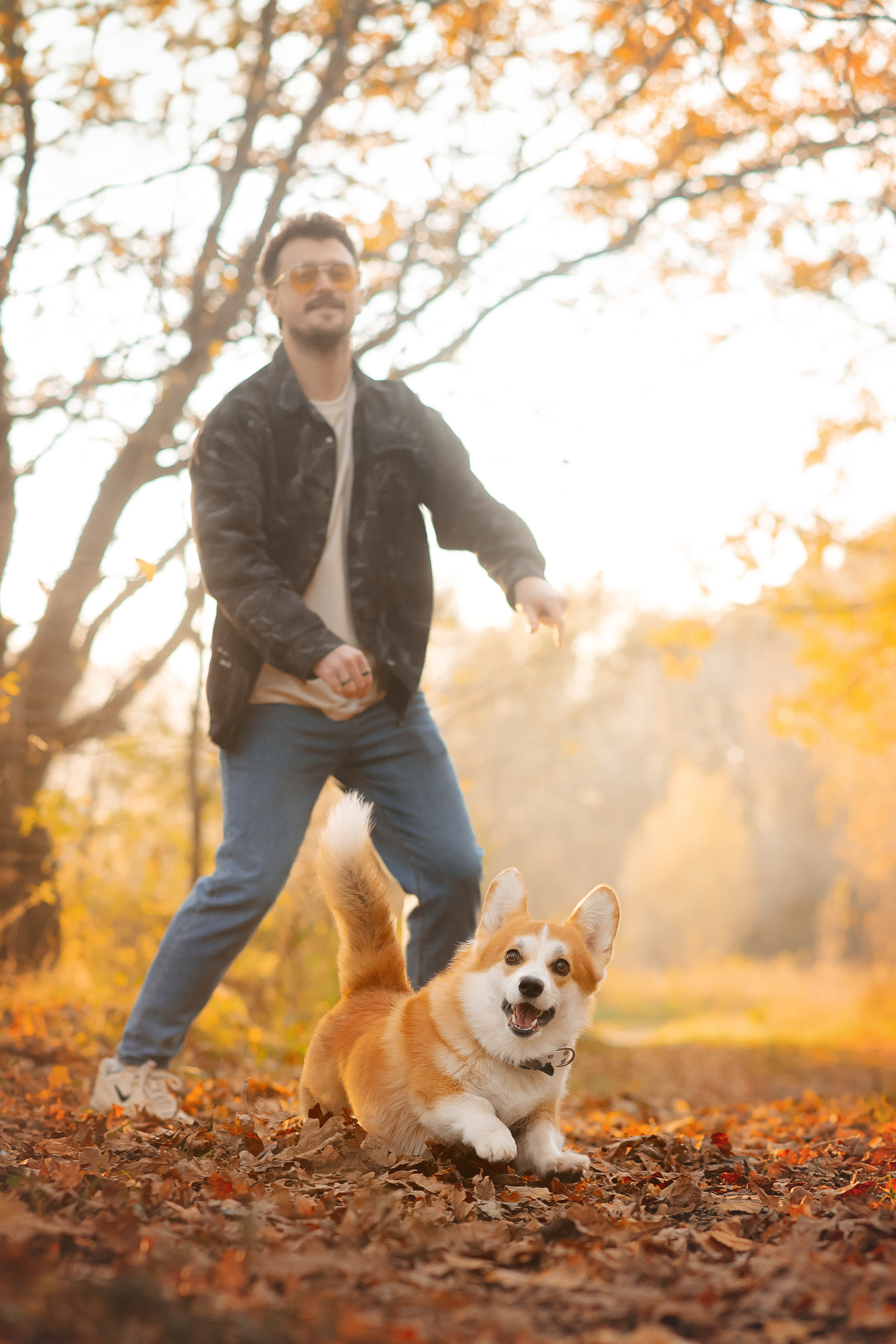 Максим, Надя, Рой и Шелби — 13.10.2024. Фотограф — Анималист | Анна Абрамова