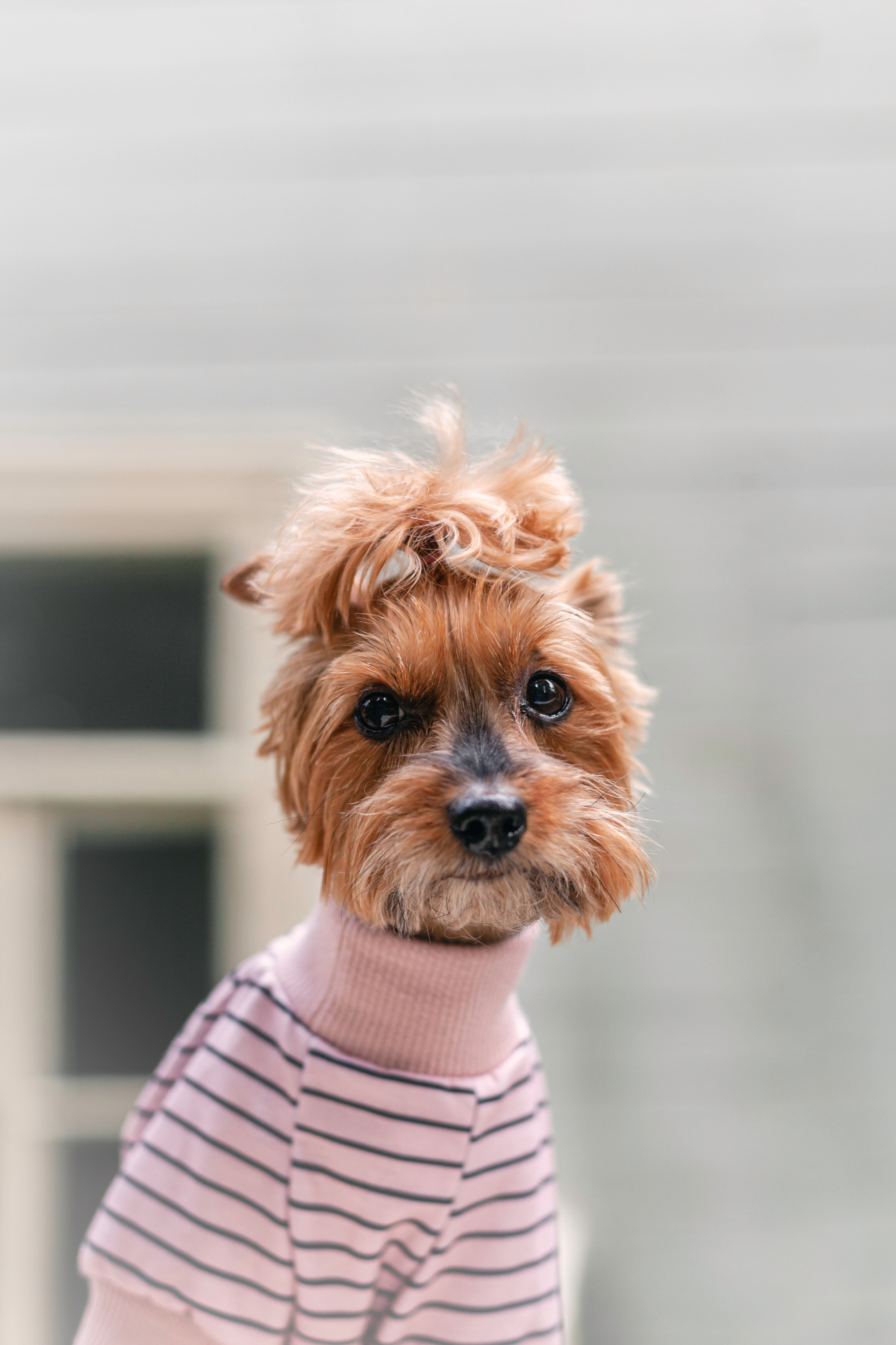 Катя и Моня. Фотограф-анималист Татьяна Степанова