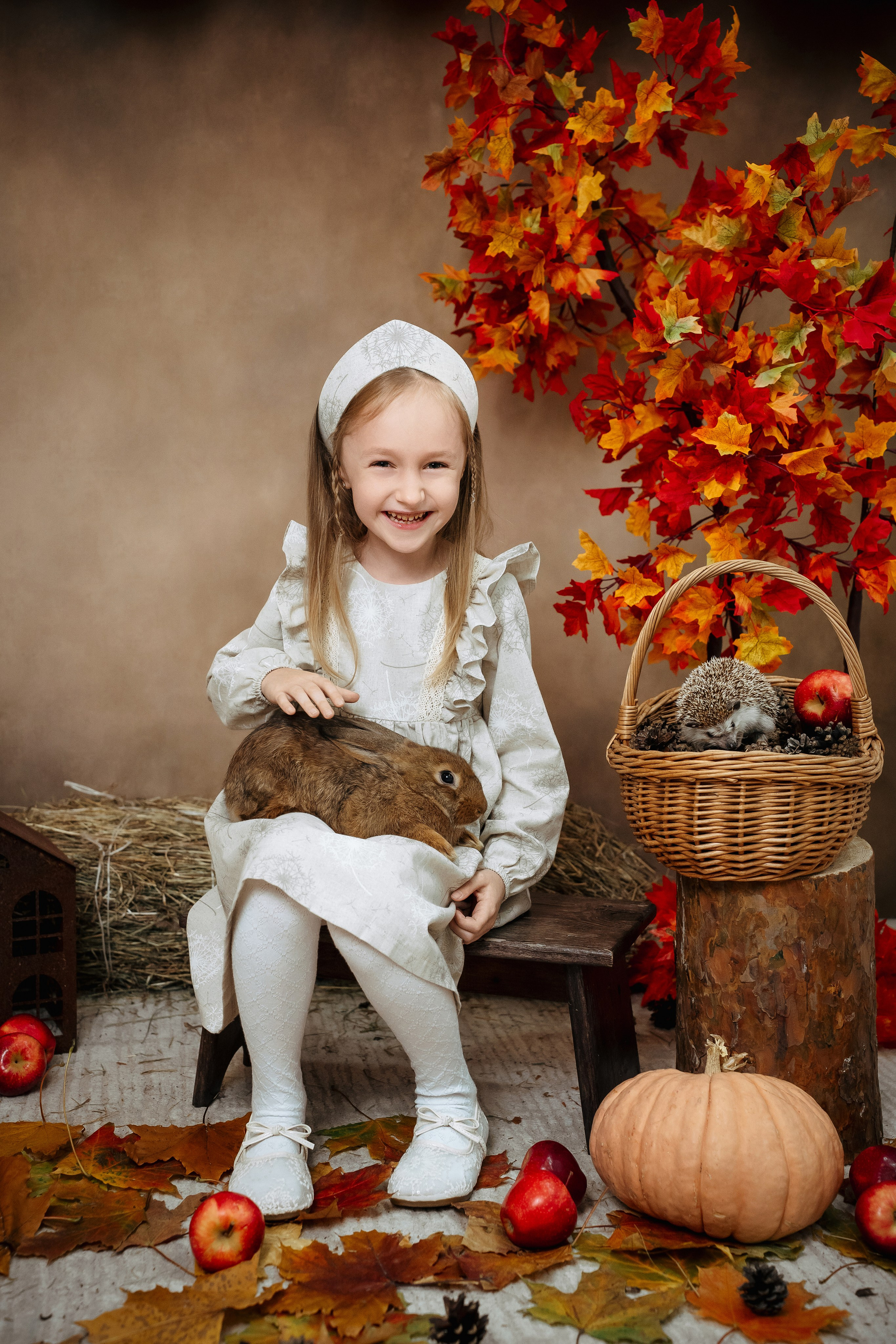 Ёжик. Фотограф Казакова Анастасия