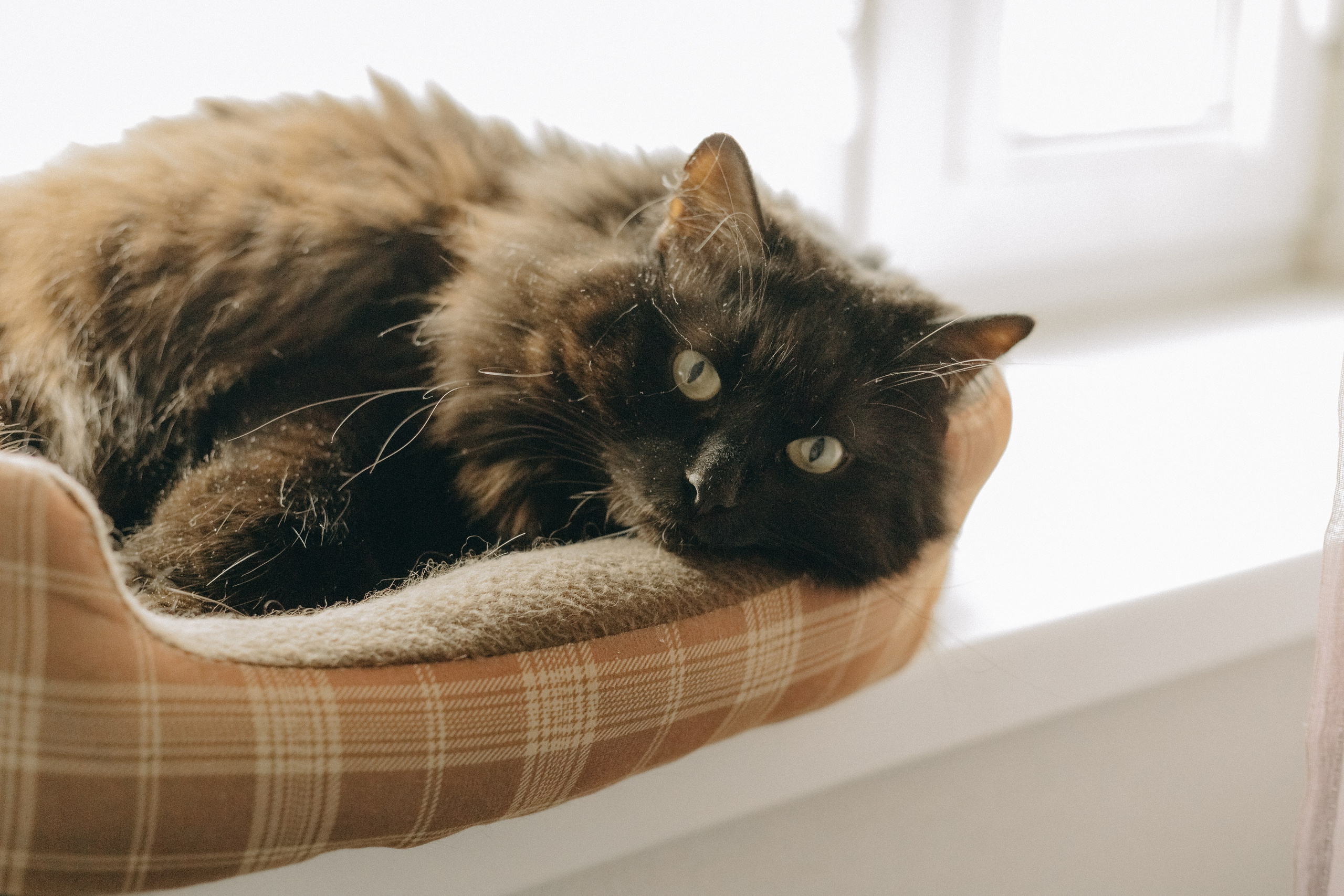 Гриша. Семейный фотограф Виктория Потехина Москва