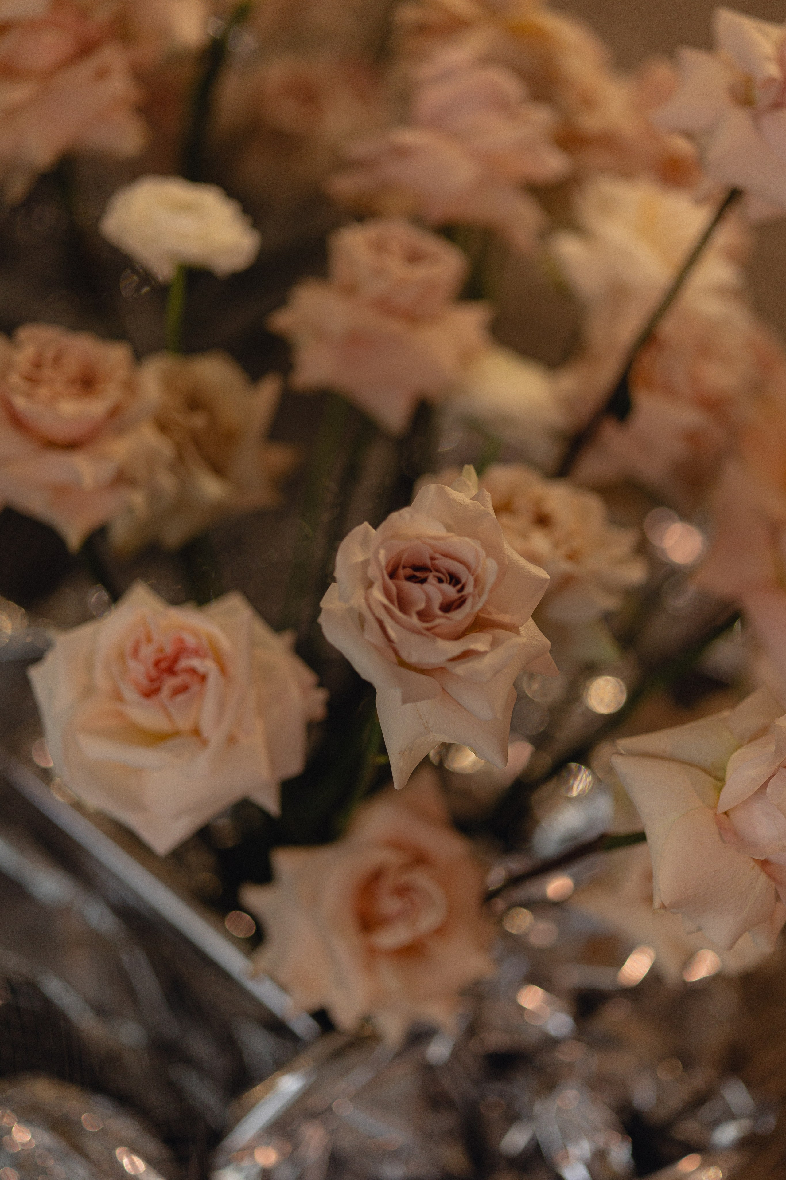 WIN WIN. Свадебный и репортажный фотограф Анастасия Алашеева