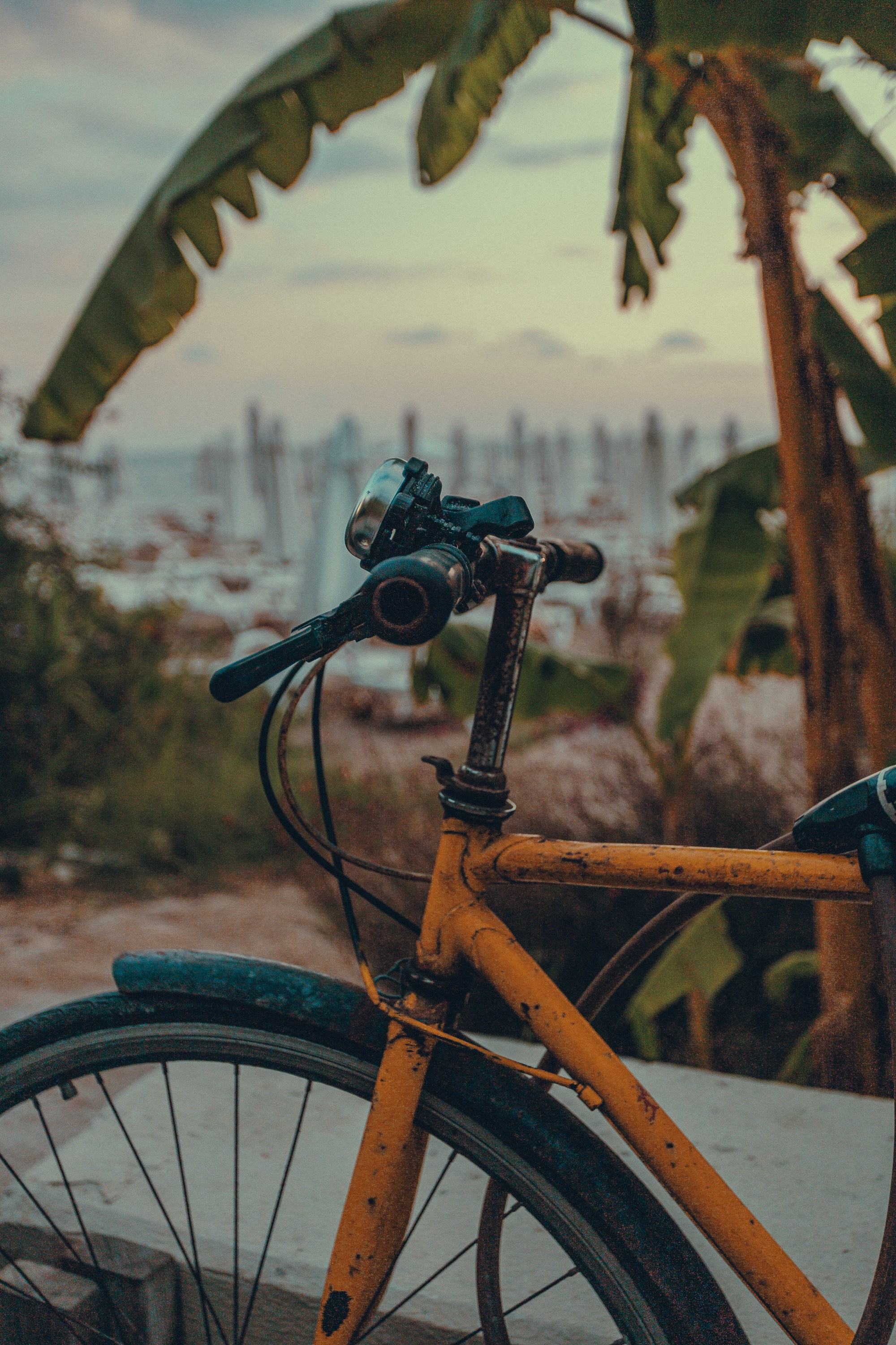 велосипед на пляже