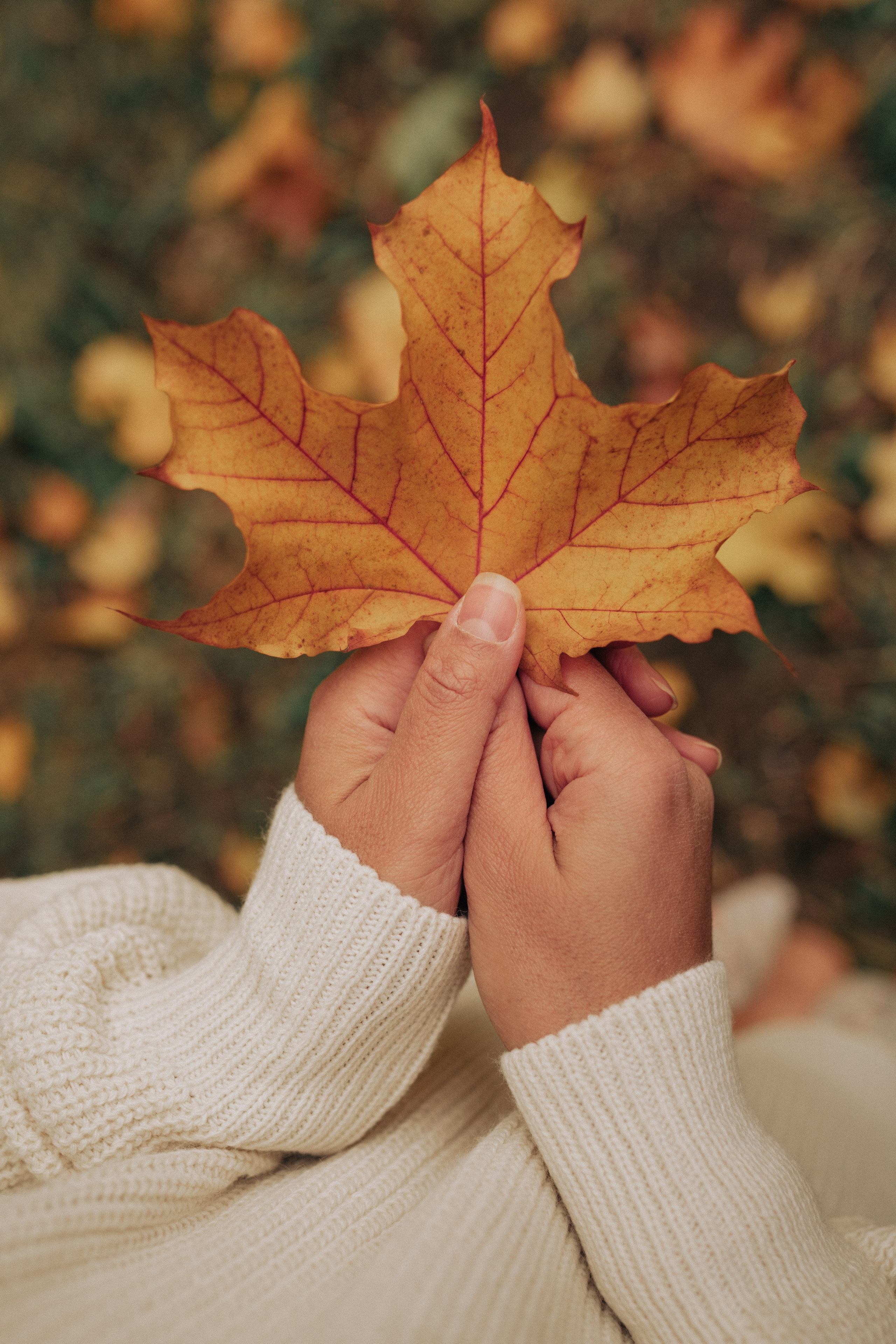 Нелли. Фотограф Екатерина Катунова | Москва
