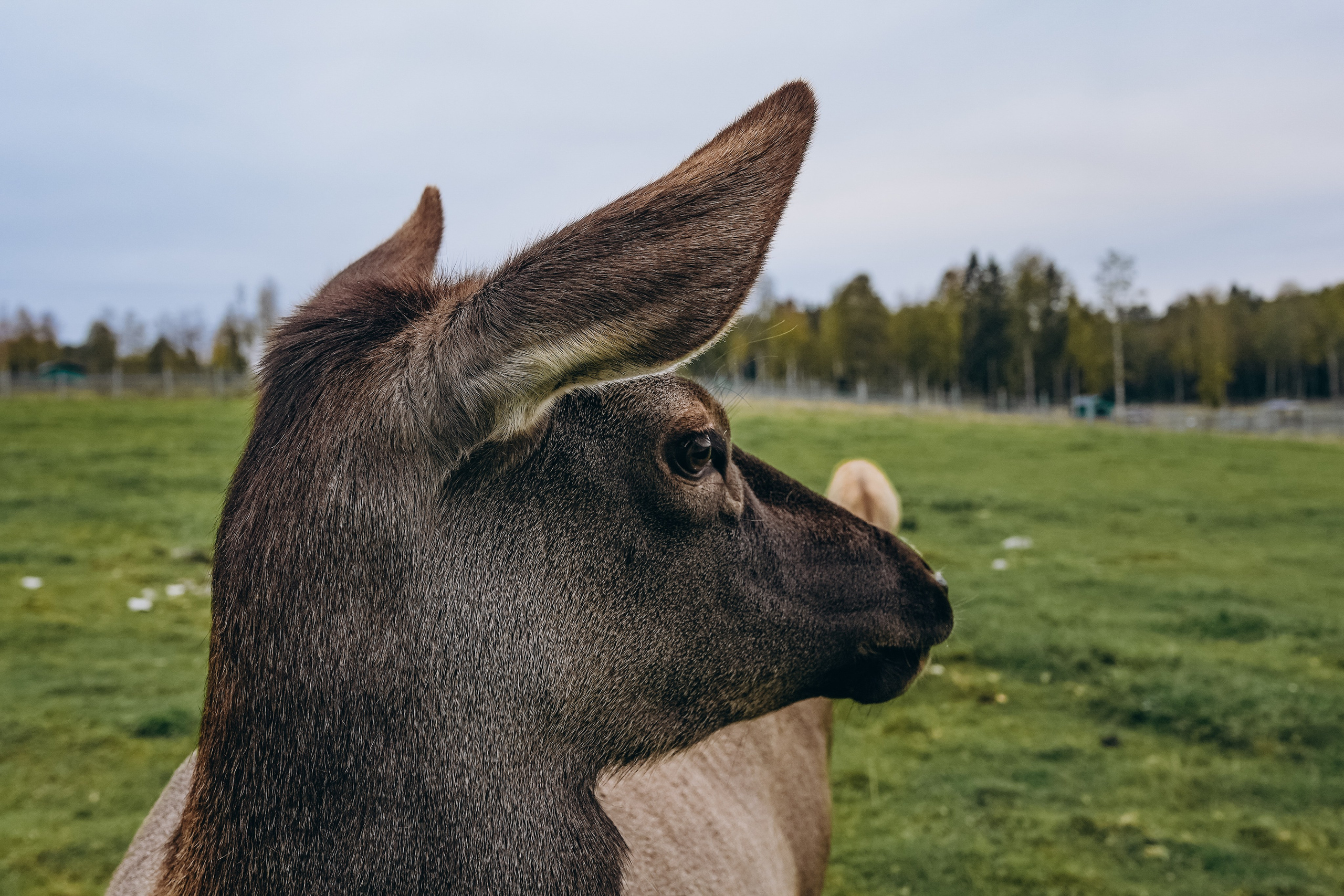 СЕВЕР. Event фотограф Степанова Александра