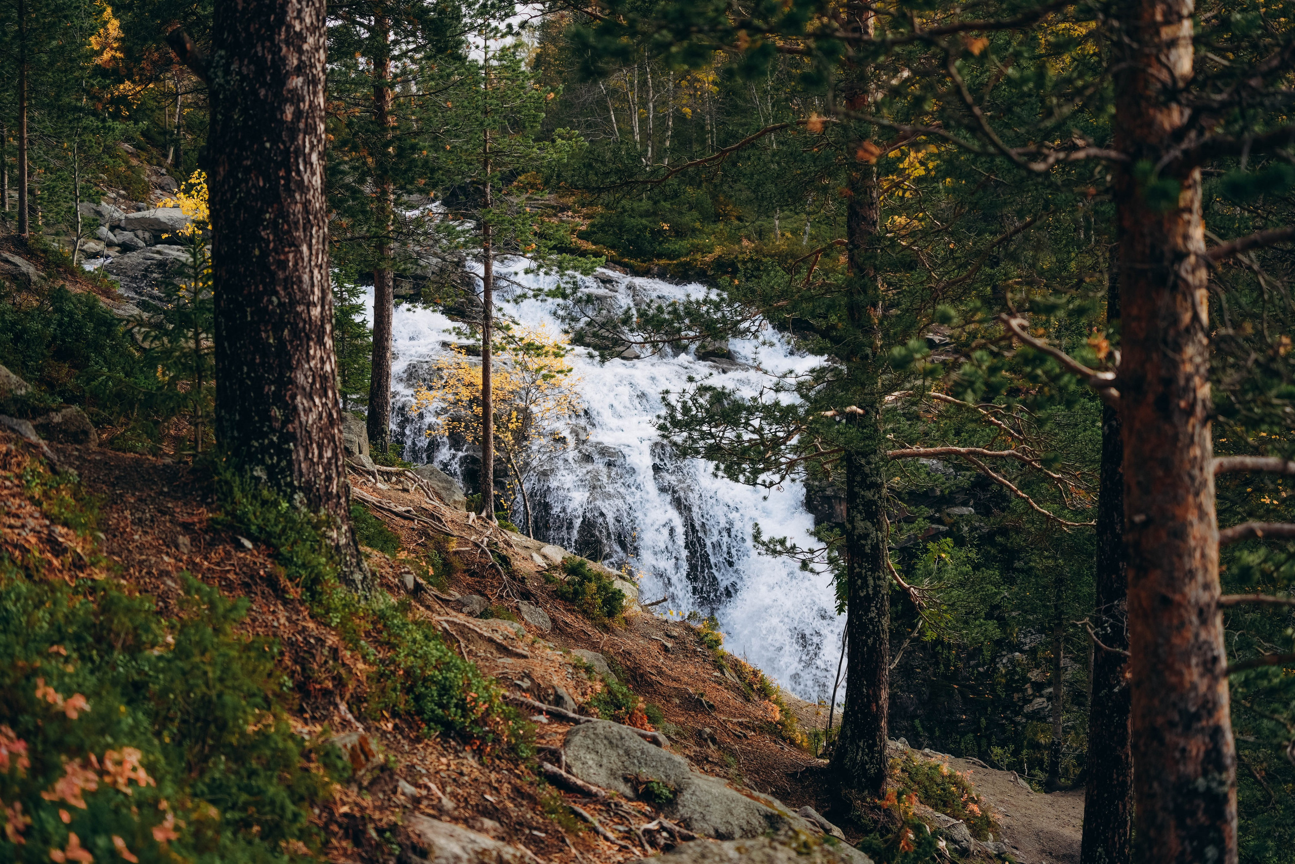 СЕВЕР. Event фотограф Степанова Александра