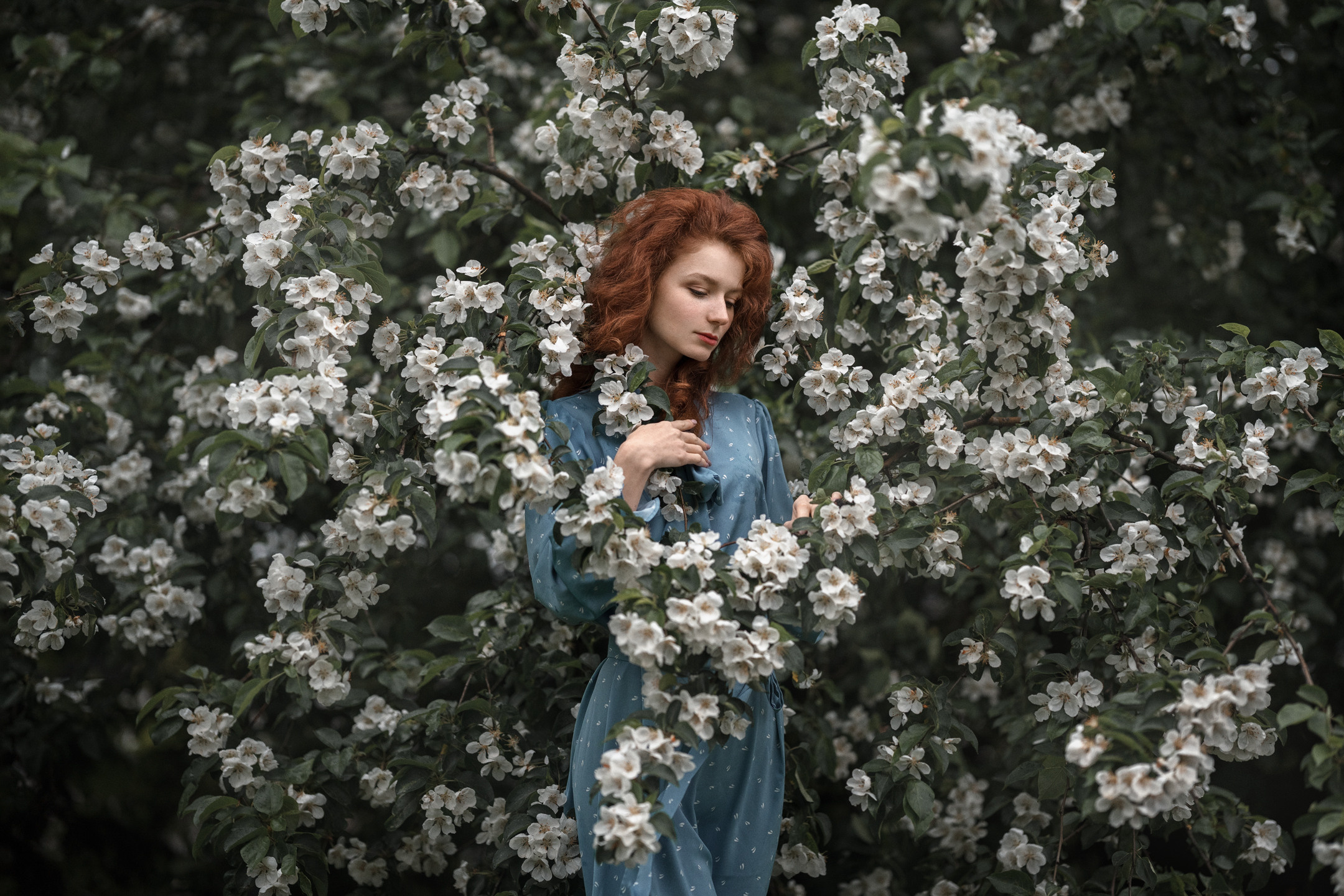 Портфолио. Фотограф Куренной Александр