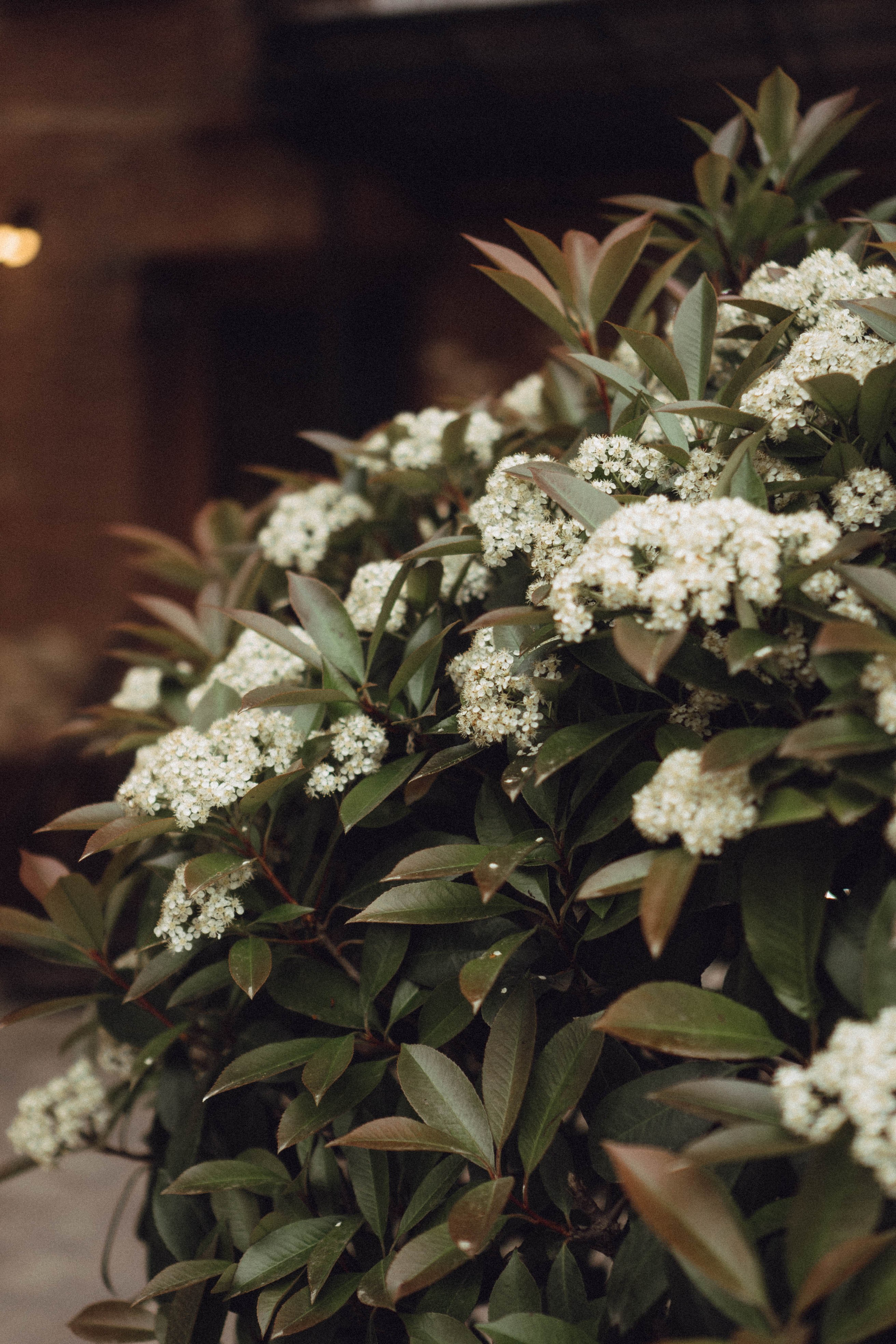 Кавказ. Профессиональный фотограф, Санкт-Петербург — Виктория Богомолова