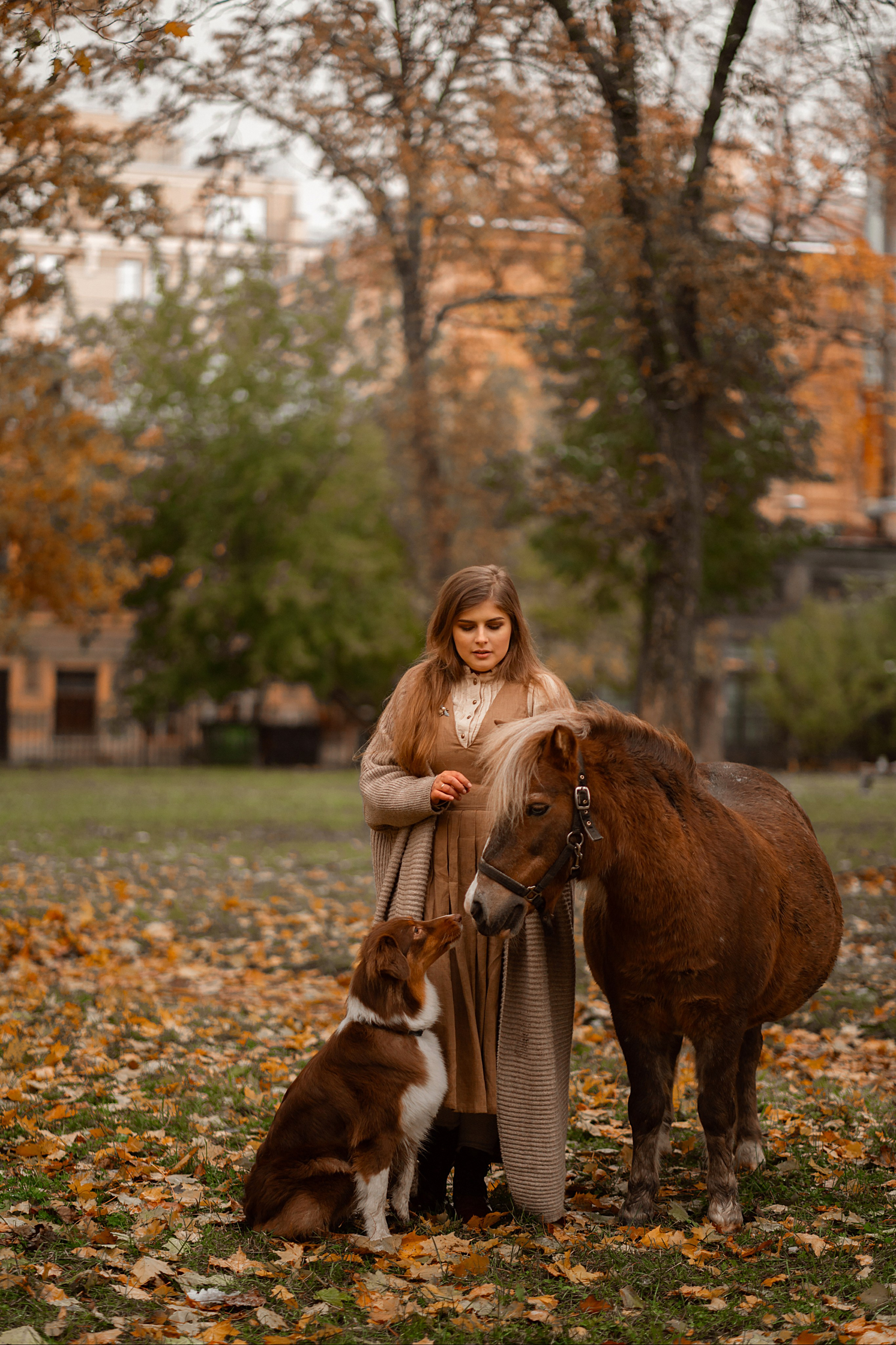 Хвостики. Главная
