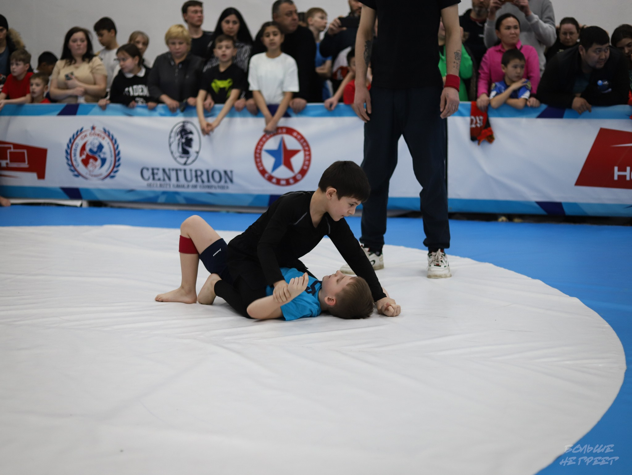 GORILLA PRIDE CUP. Больше не греет