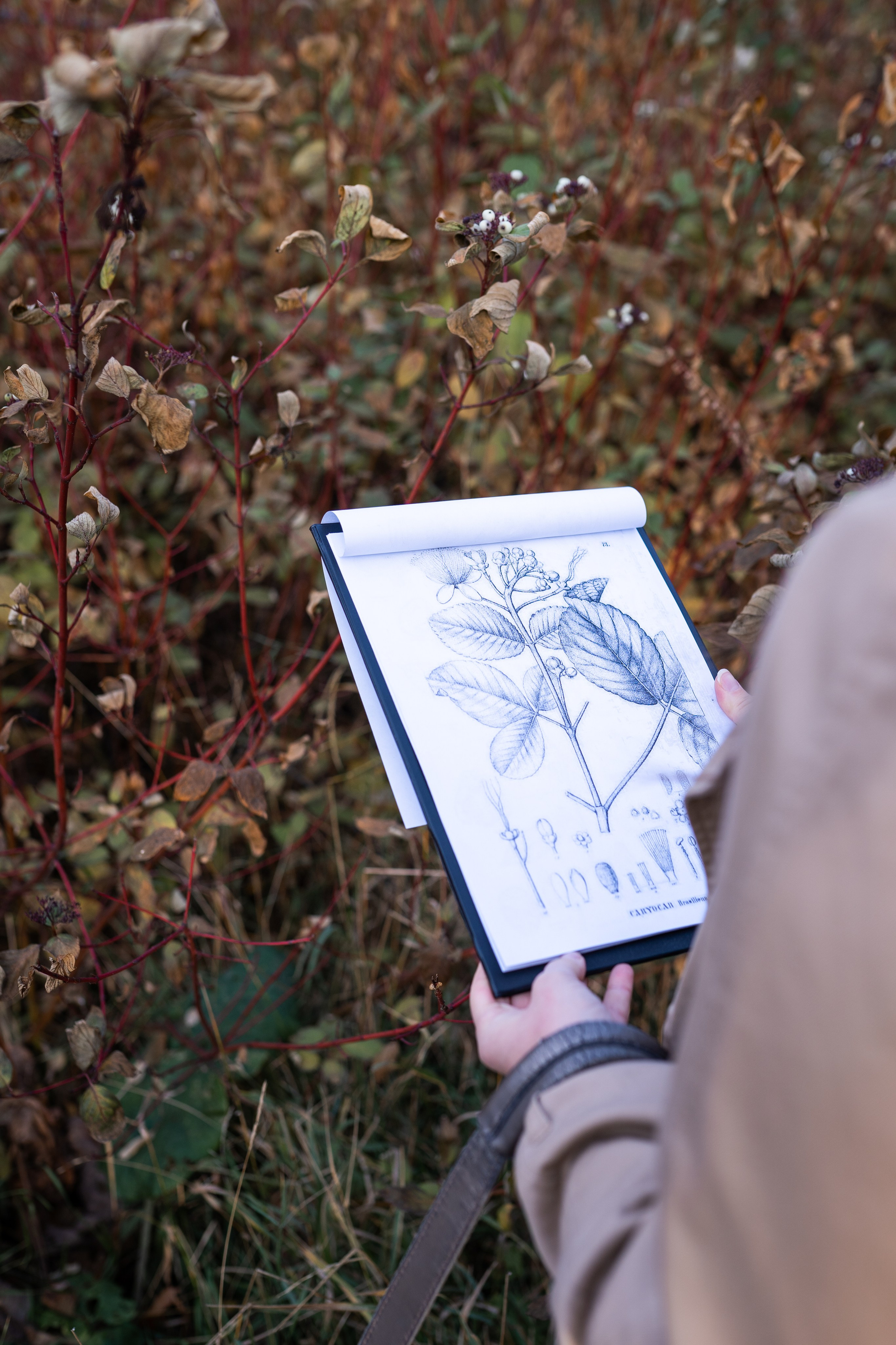 Ксения. Ботанический сад. Фотограф в Самаре Иван Булатов