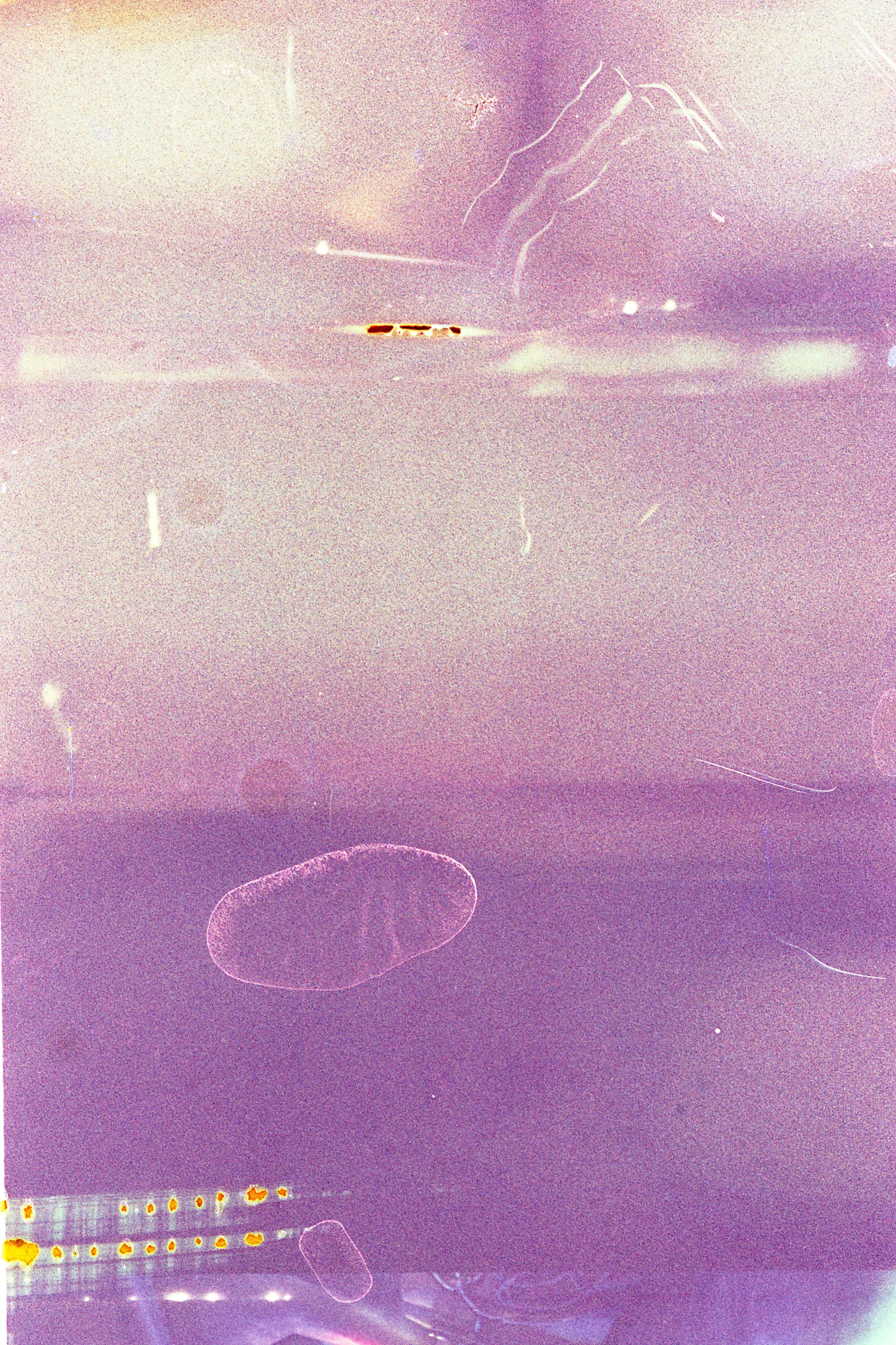 FIRST|LAST. Контент-креатор Паша Норицын