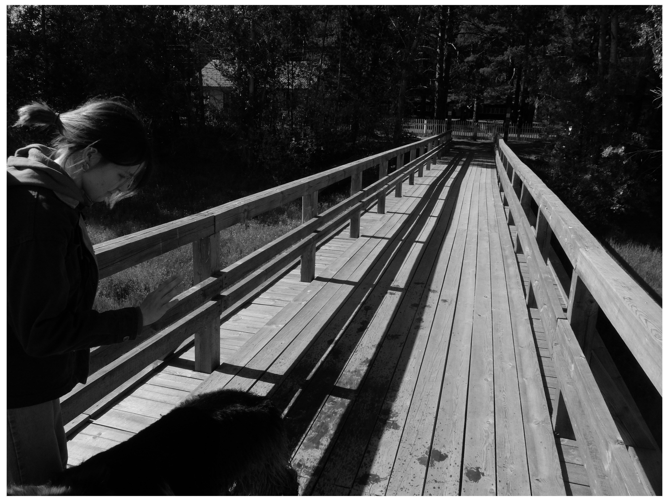 Промежуточные моменты (2022)