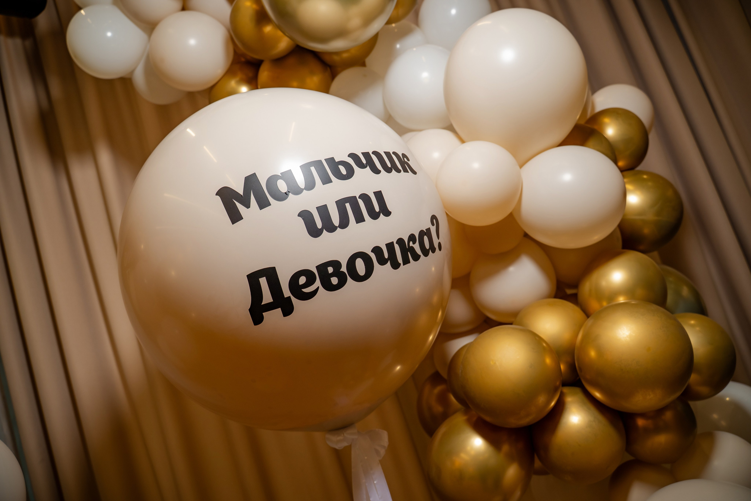 Gender Party Март 2025. Фотограф Александр Вишняков