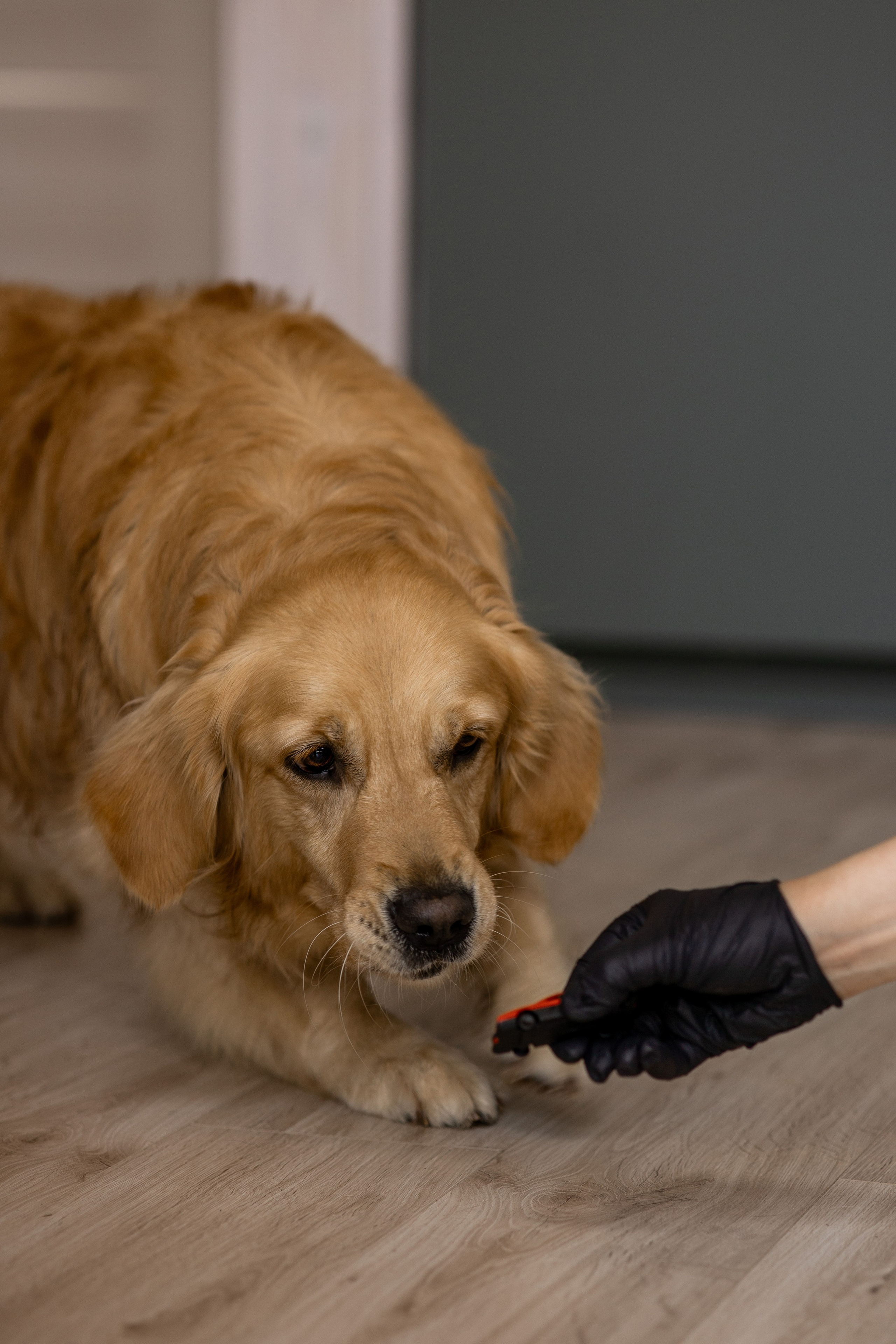 Репортаж по Ноузворку. Анастасия Белаш