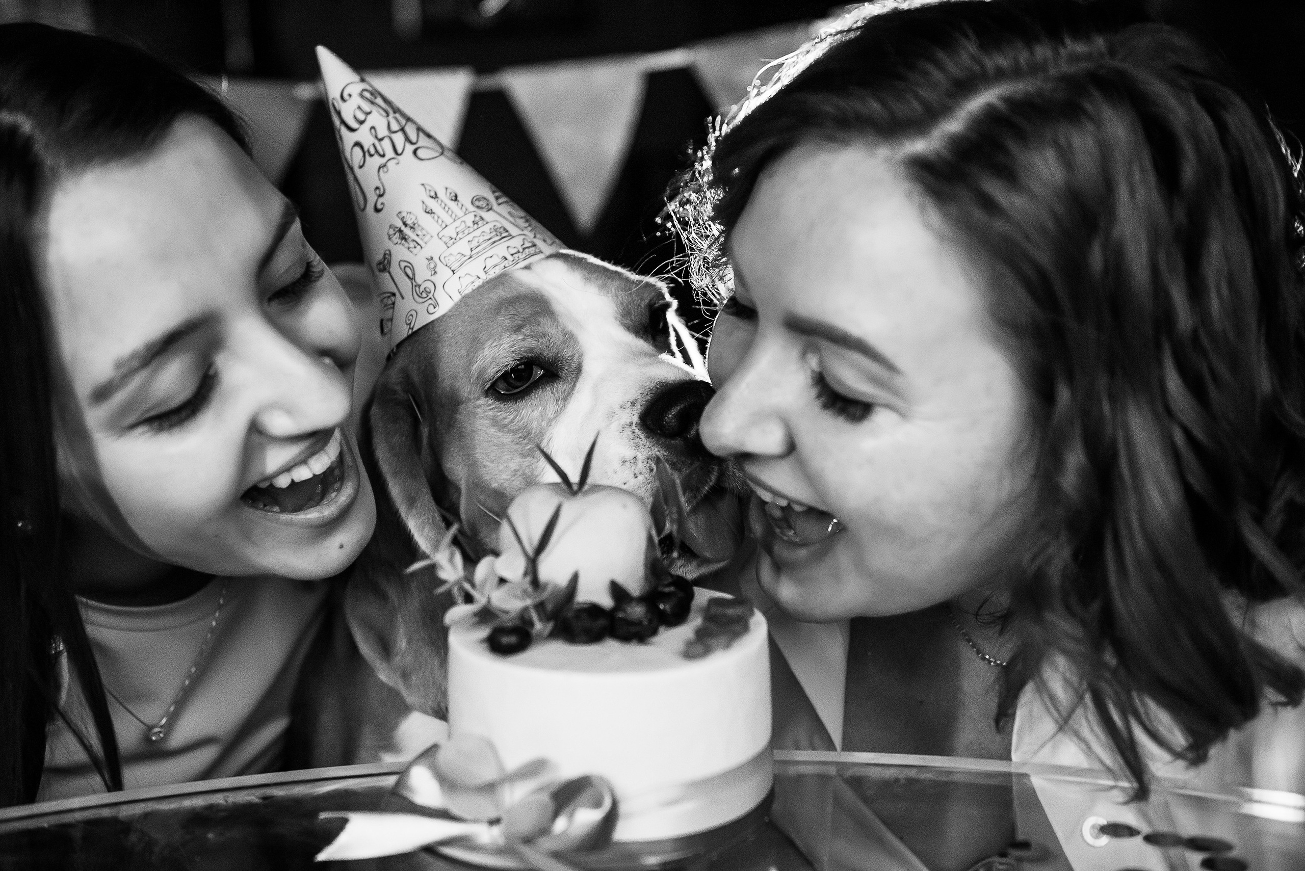 День рождение Дарси. Семейный Фотограф в Москве Ирина Хохлова