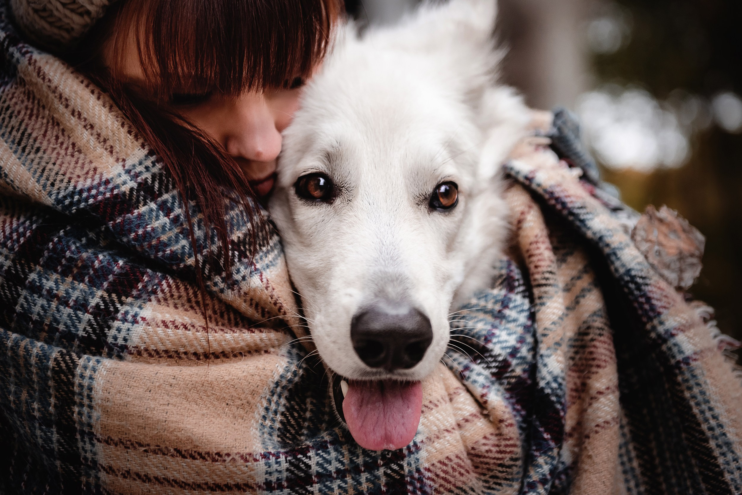 Катя и Джек. Семейный Фотограф в Москве Ирина Хохлова