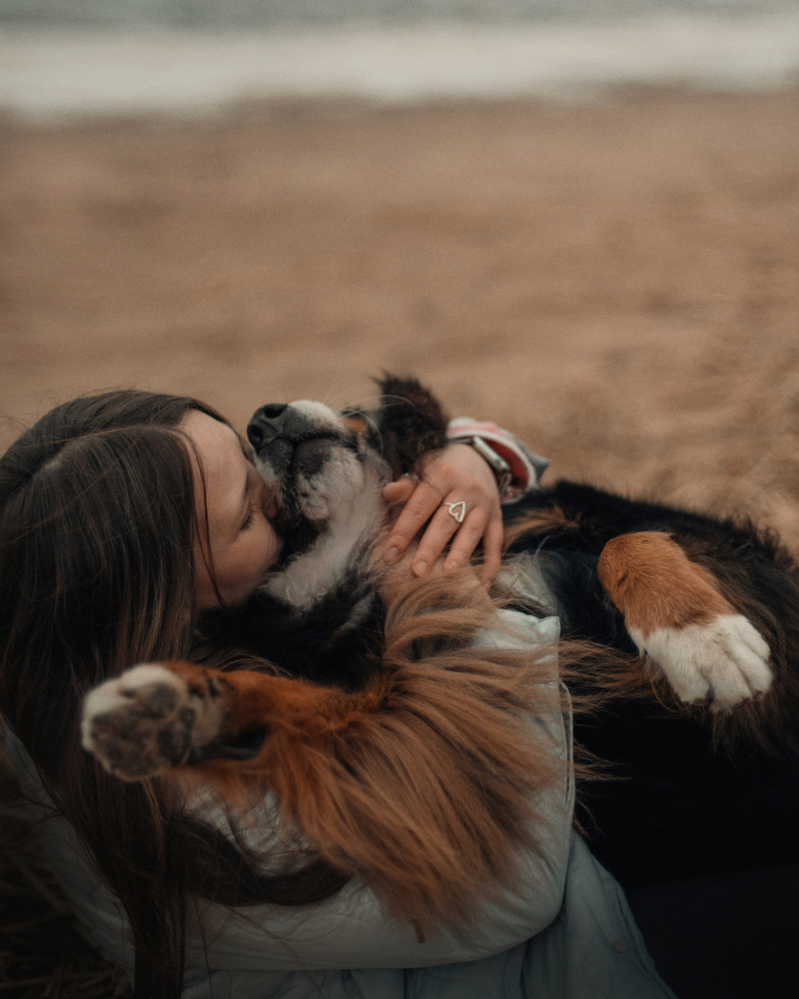 Прогулка: берн Пума, Фрэнк и Юля в Питере. Портфолио