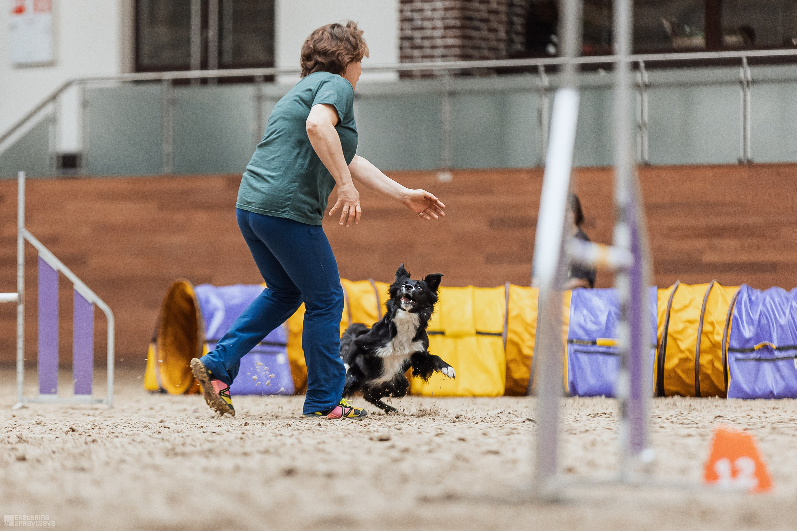 ЧРКФ Аджилити в Максима. Фотограф Анималист Екатерина Справцева в Нижнем Новгороде